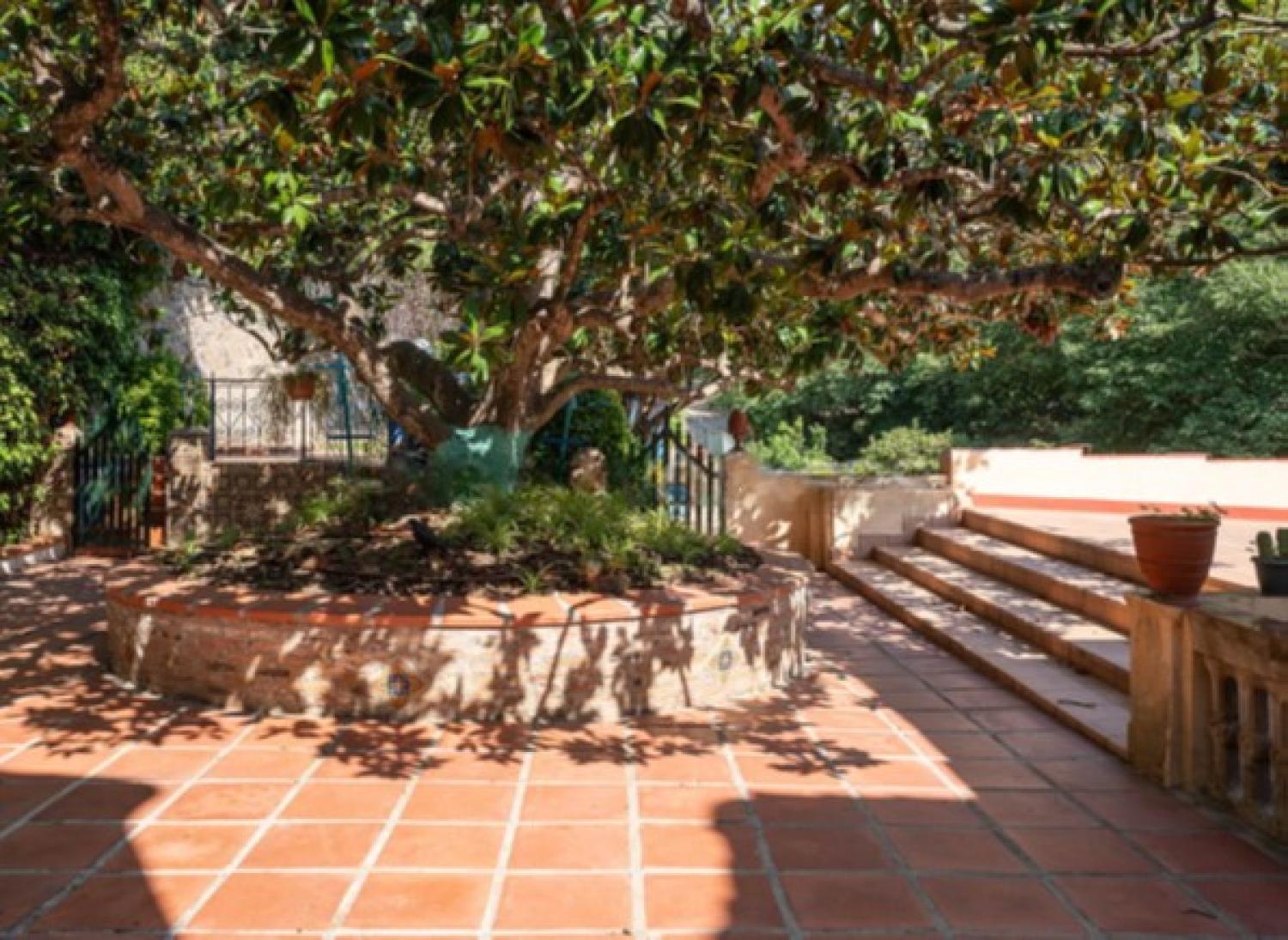  en venta mansion Nucli Antic Maresme 37