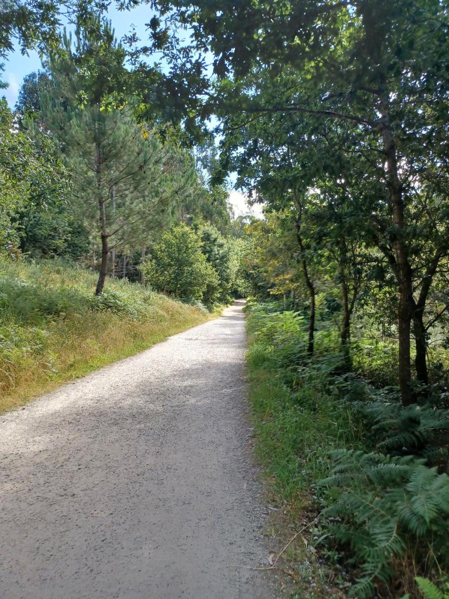  en venta terreno Raíces Santiago 24