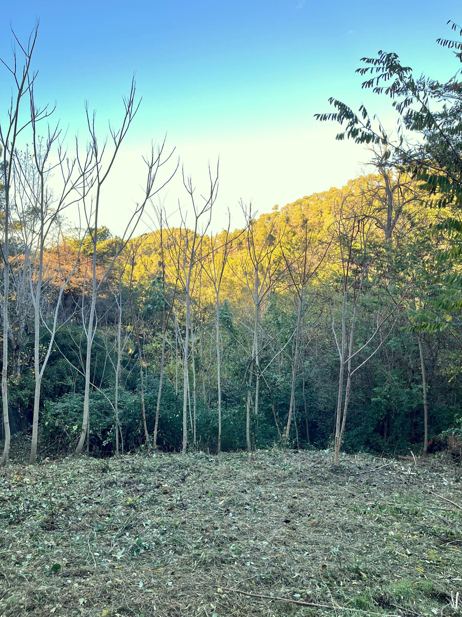  en venta terreno Les Planes Vallès Occidental 1