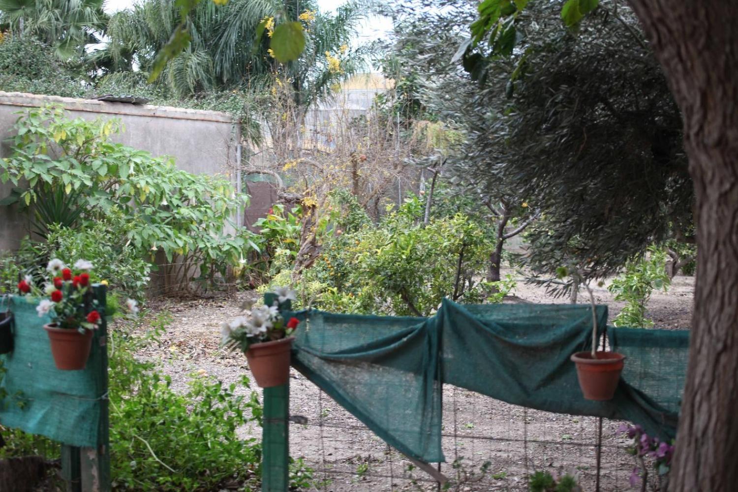  en venta chalet Sollana Ribera Baixa 68