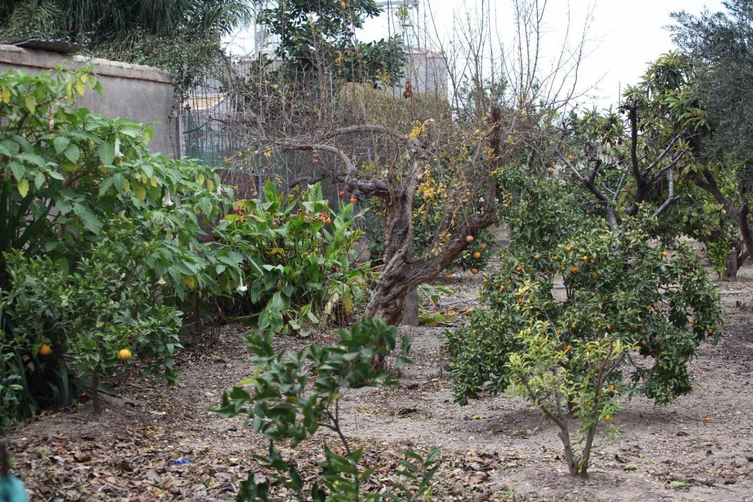  en venta chalet Sollana Ribera Baixa 81