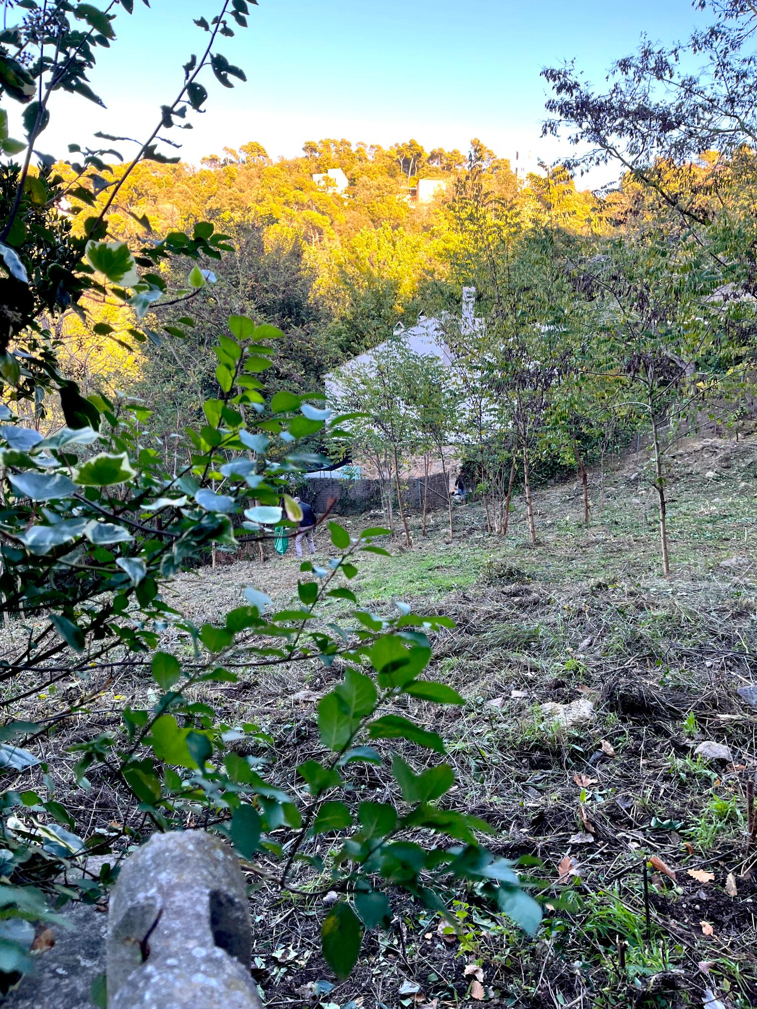  en venta terreno Les Planes Vallès Occidental 3