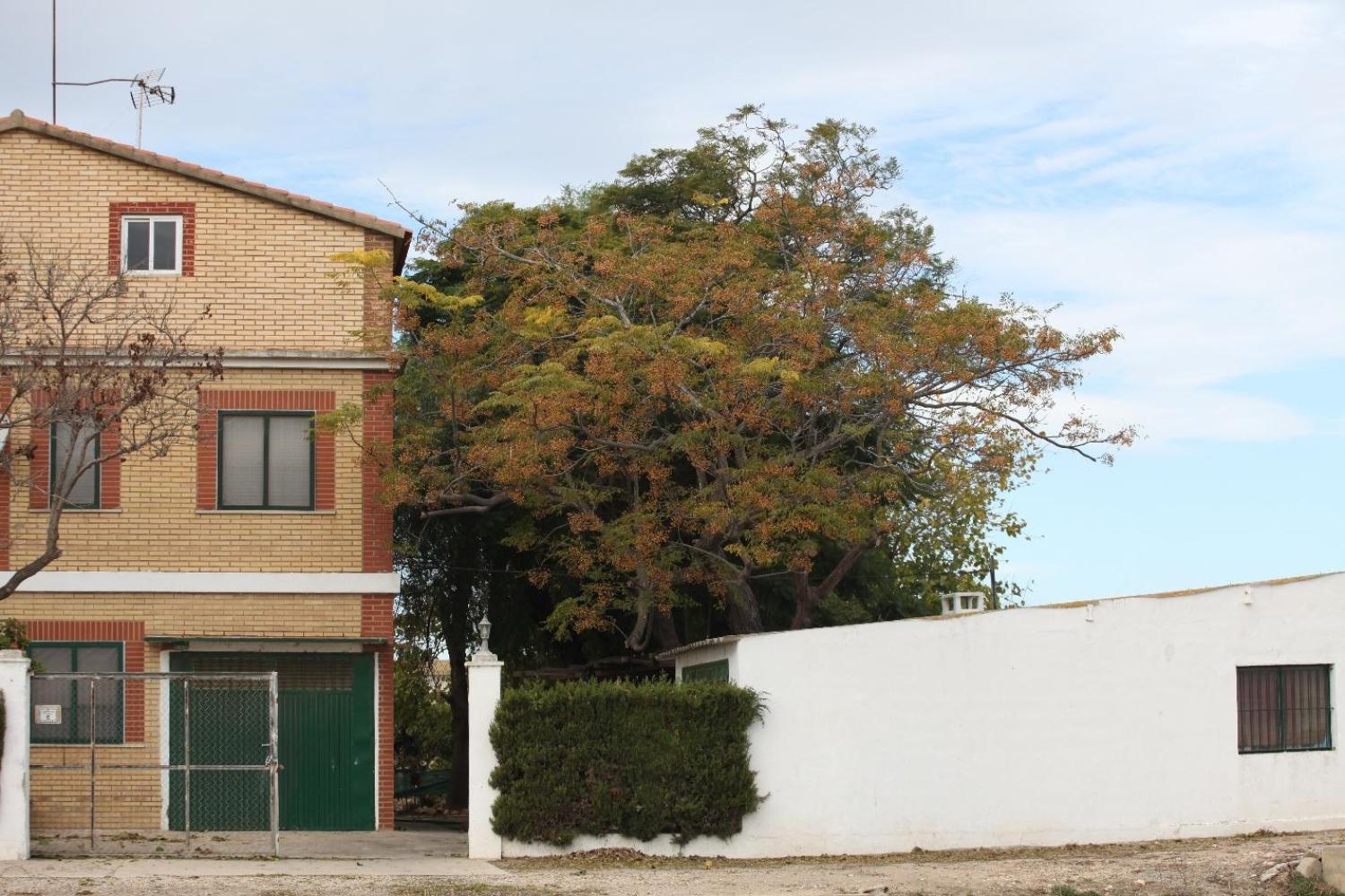  en venta chalet Sollana Ribera Baixa 16