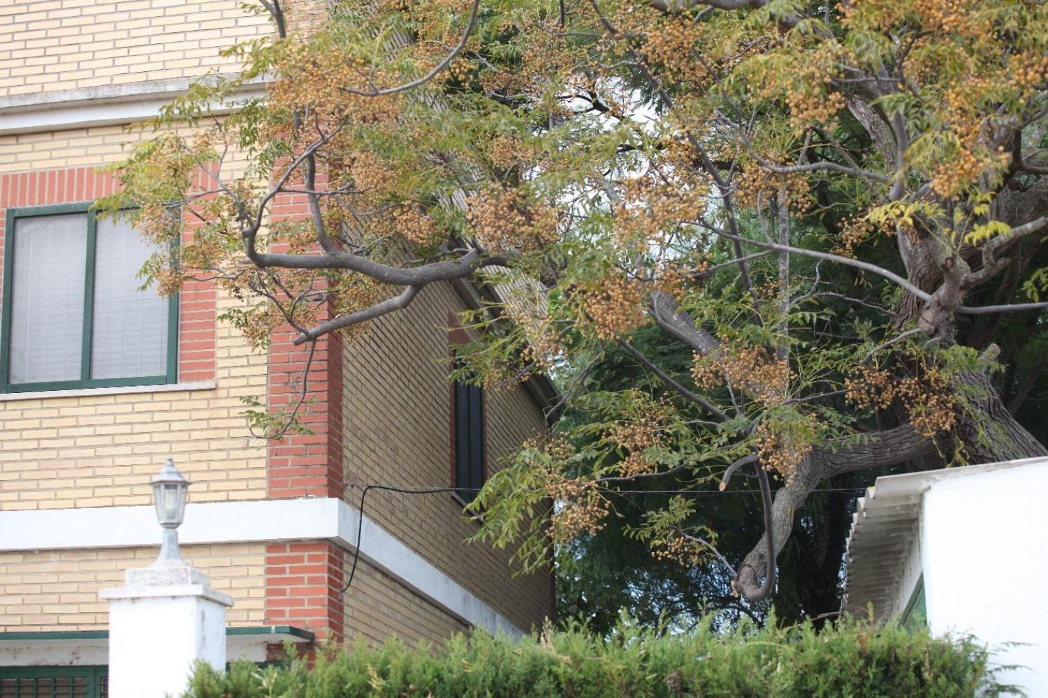  en venta chalet Sollana Ribera Baixa 19