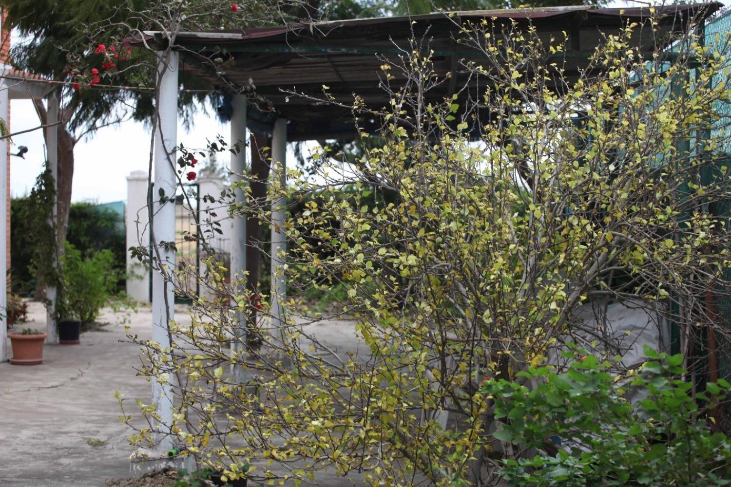  en venta chalet Sollana Ribera Baixa 69