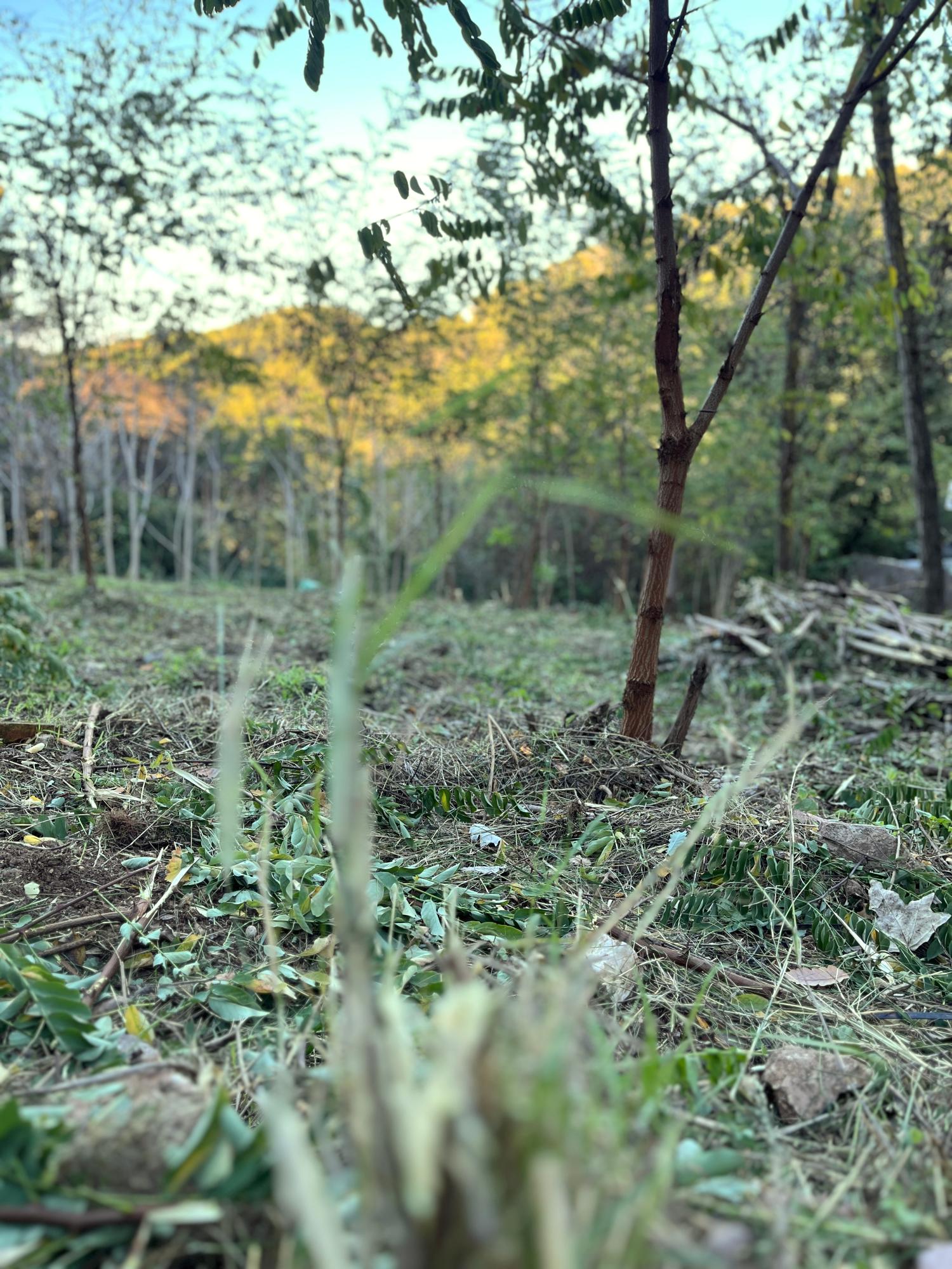  en venta terreno Les Planes Vallès Occidental 12