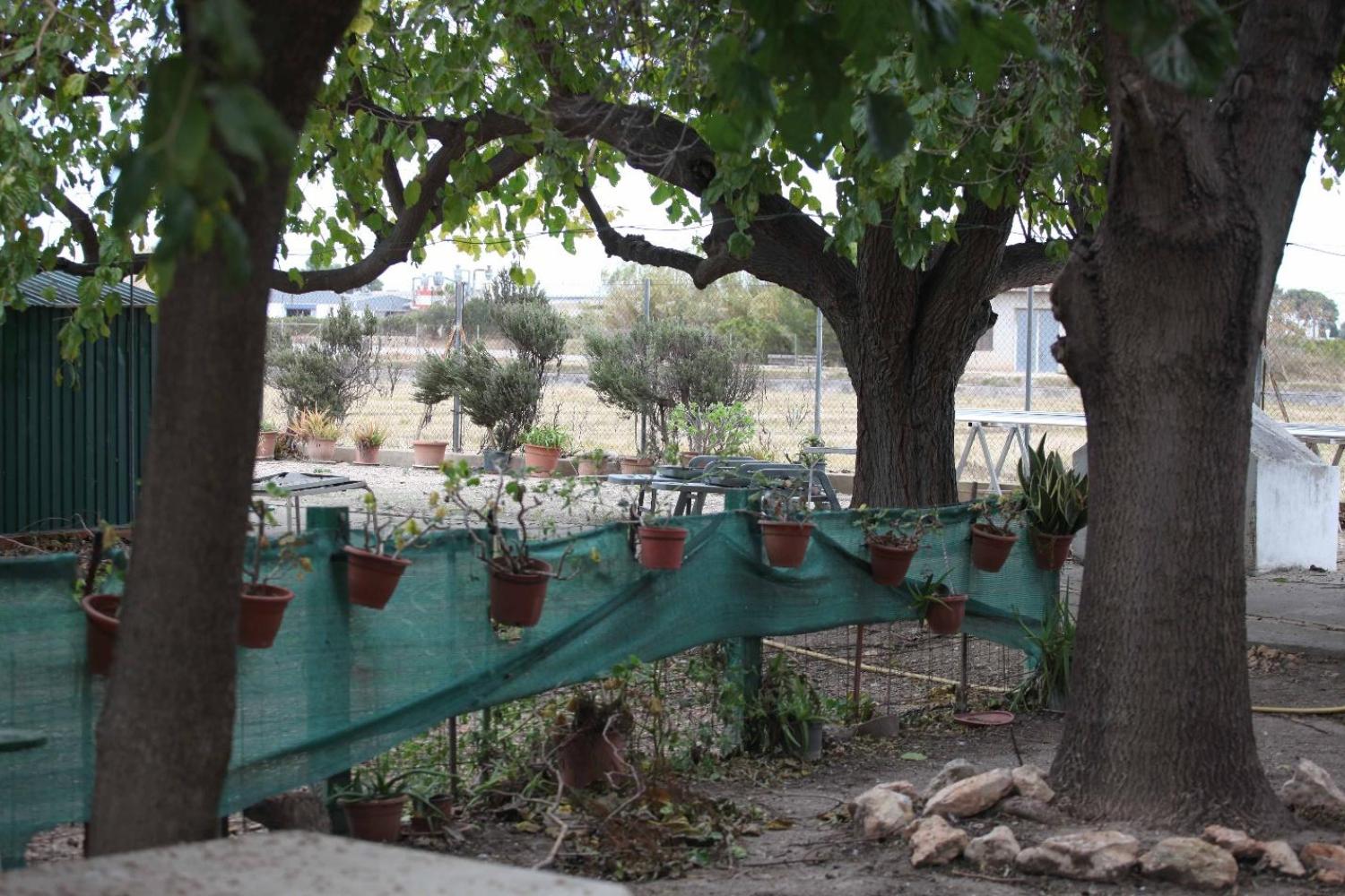  en venta chalet Sollana Ribera Baixa 79