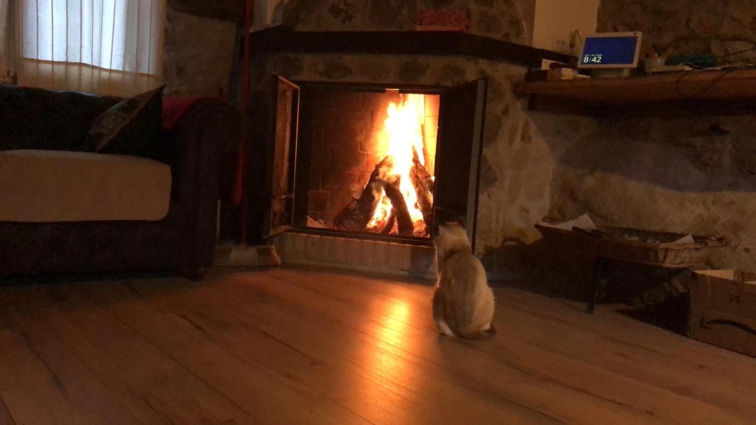  en venta finca rústica Casas Del Castañar Valle Del Jerte 3