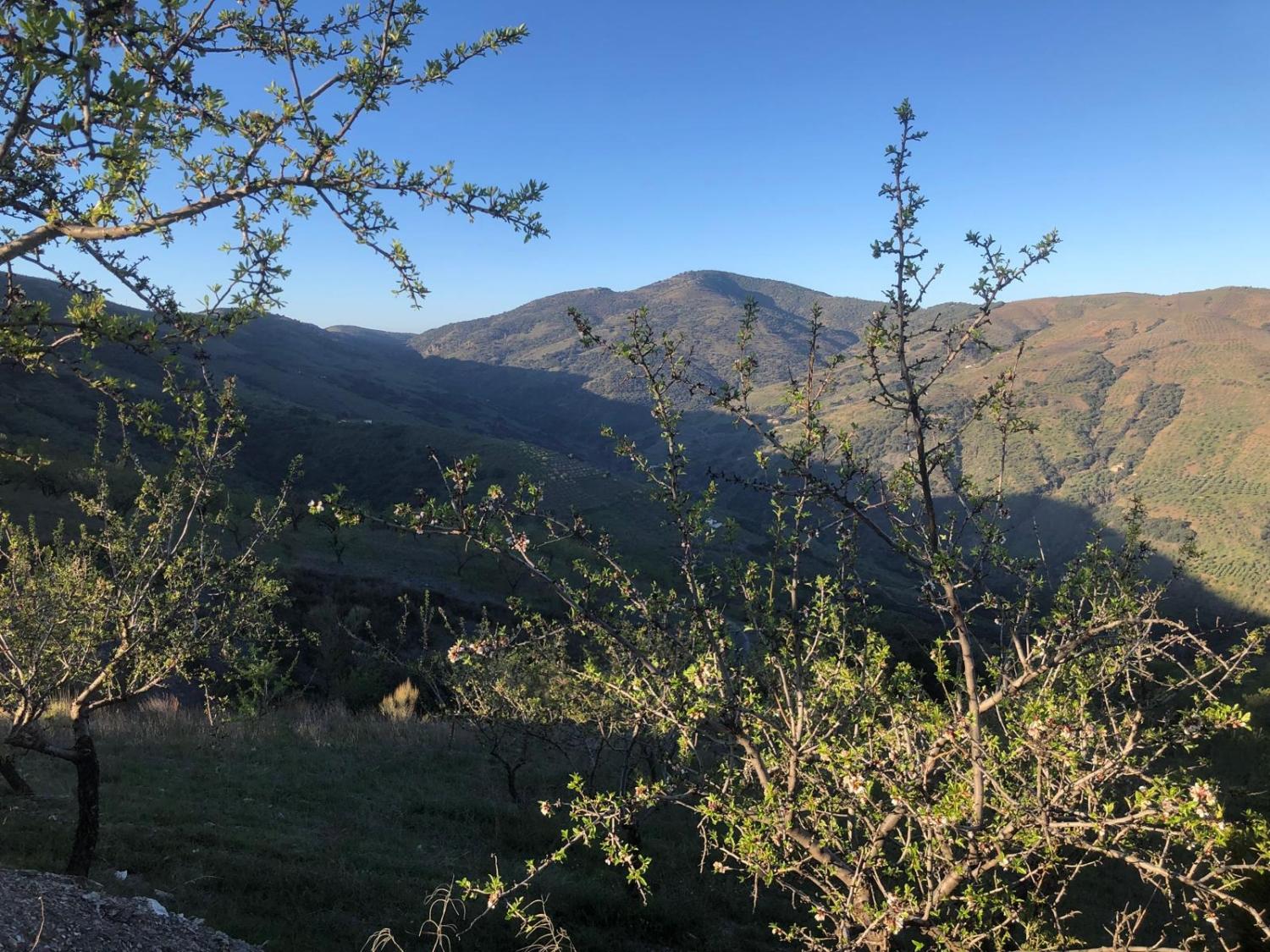  en venta casa Torvizcón Alpujarra Granadina 9