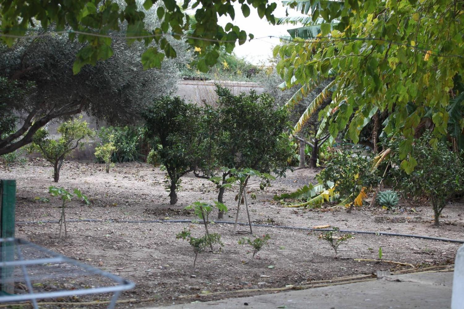  en venta chalet Sollana Ribera Baixa 73