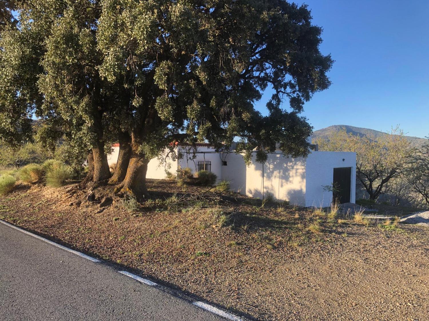  en venta casa Torvizcón Alpujarra Granadina 1