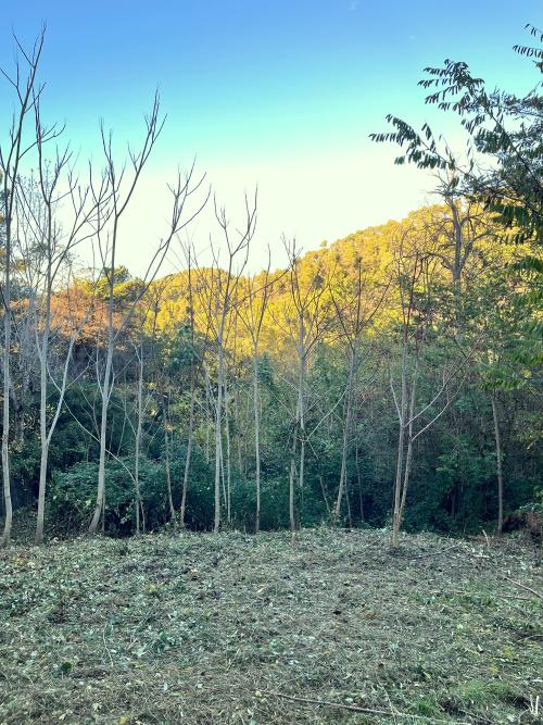 Les Planes Vallès Occidental terreno foto 5408629