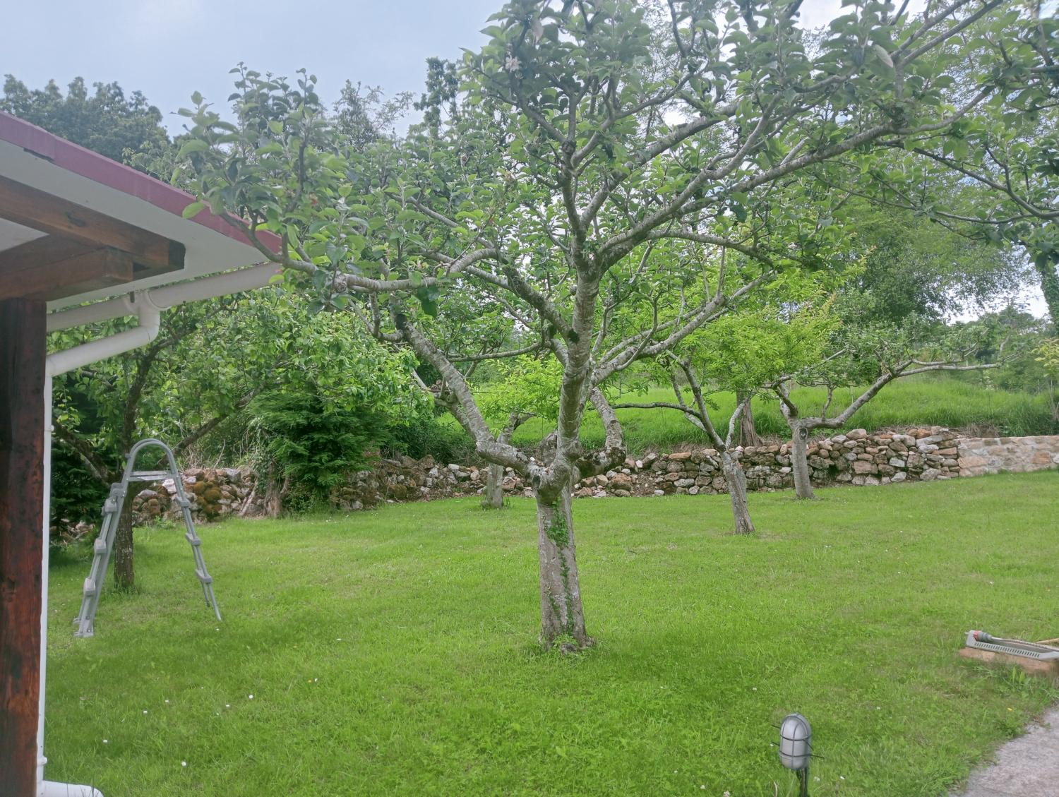  en venta casa Mercadal Besaya 1