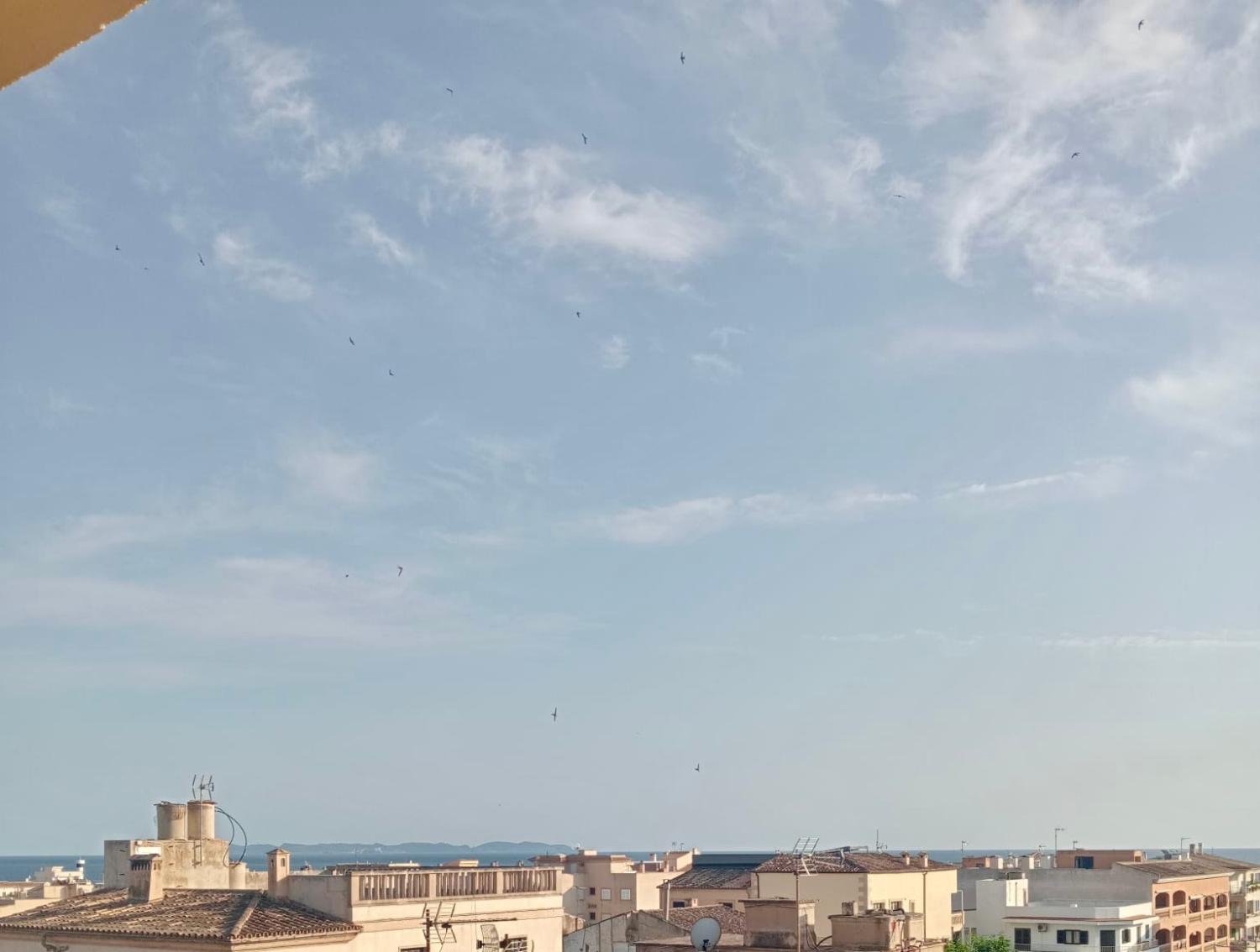  en venta apartamento Colonia De Sant Jordi Sud 1
