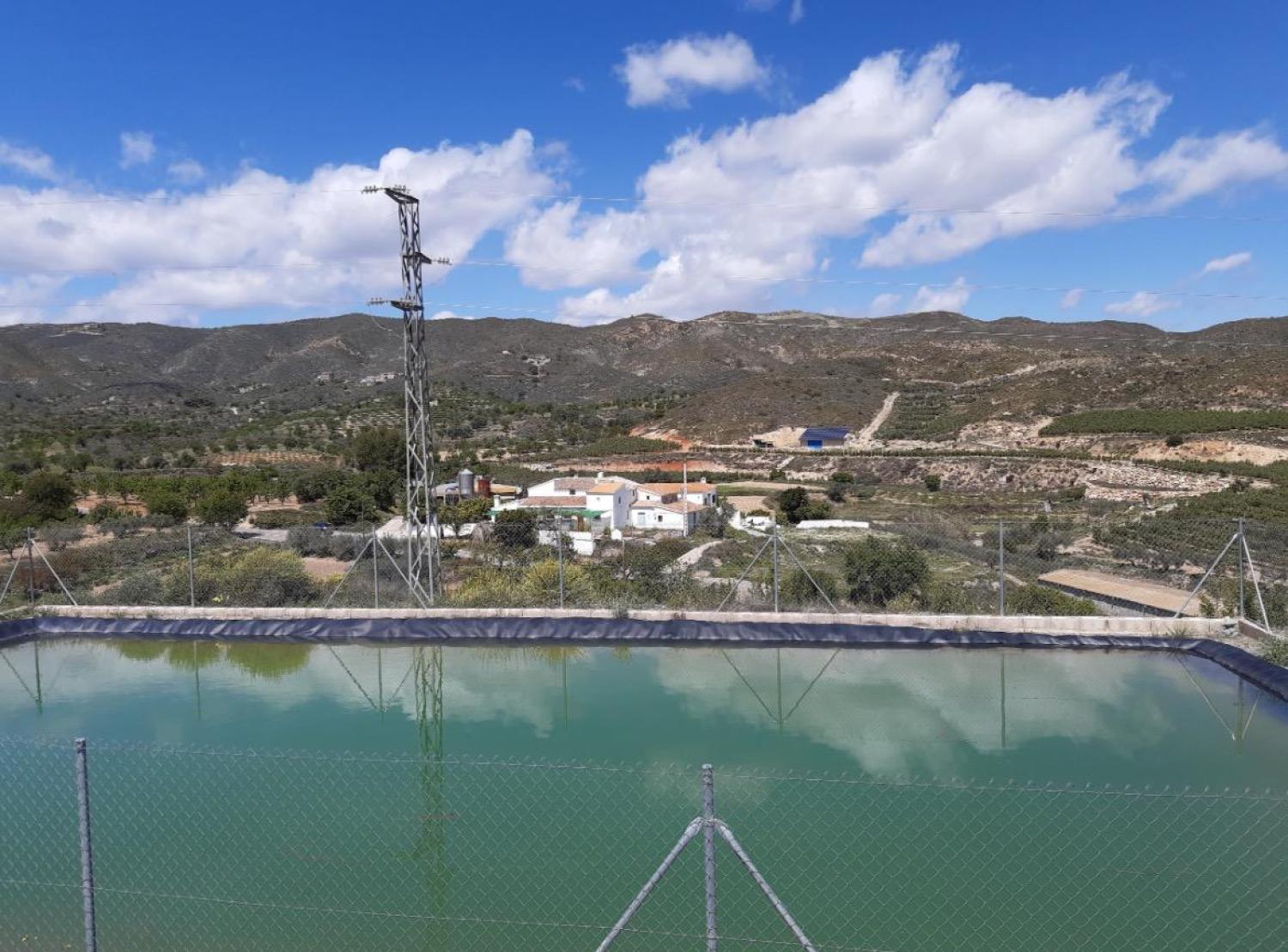 en venta finca rústica Lubrín Levante Almeriense 3