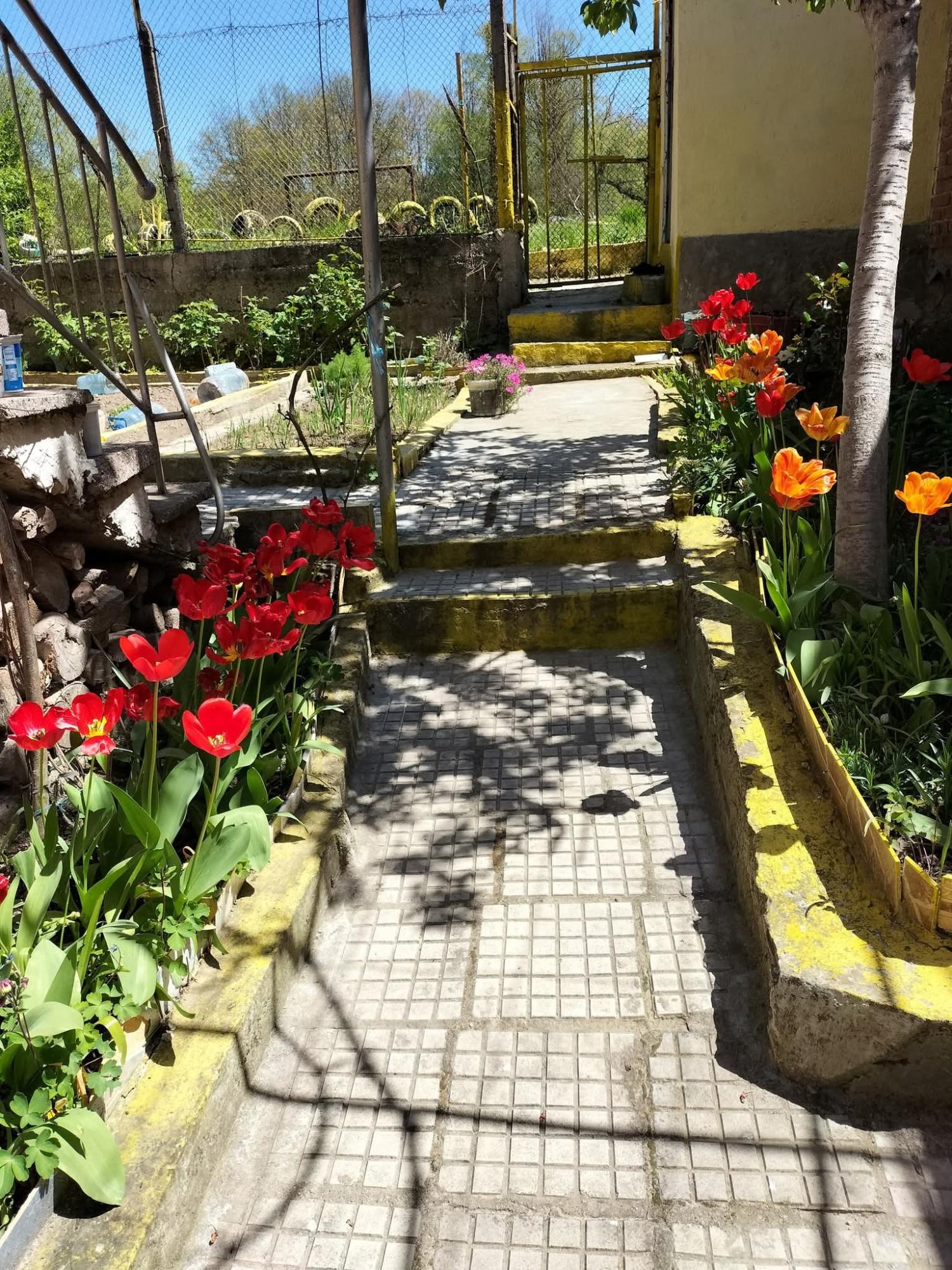  en venta finca rústica Estepona Costa Del Sol Occidental 12