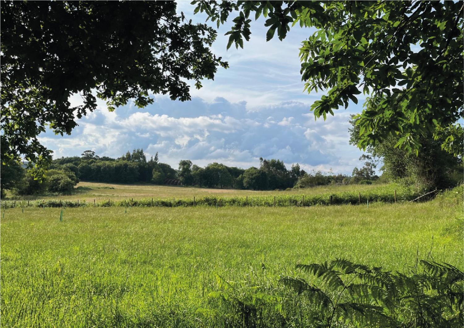  en venta terreno Pousada De Arriba Tierra De Mellid 4