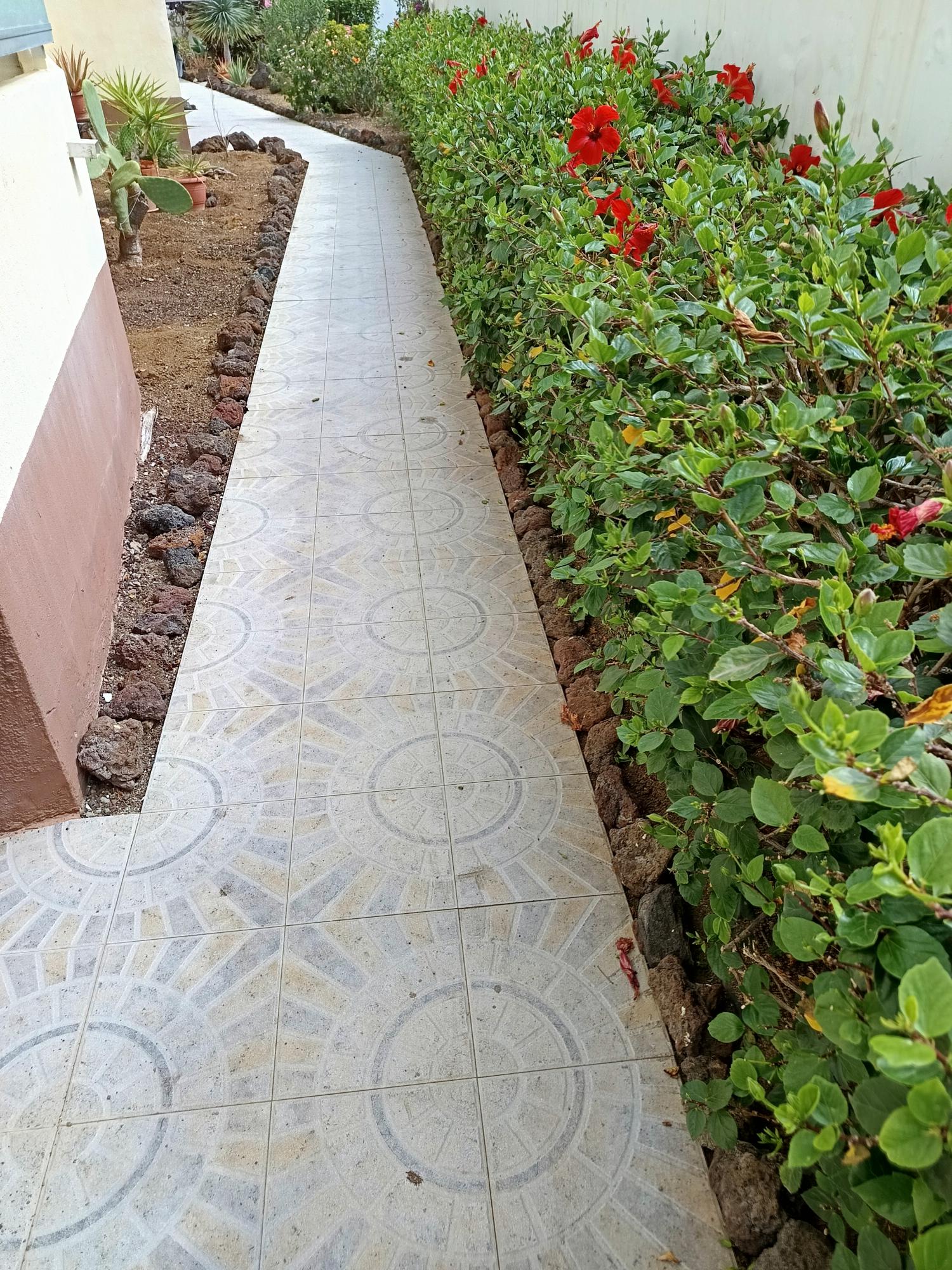  en venta apartamento Las Palmas Centro 35004 Palmas De Gran Canaria (Las) 19