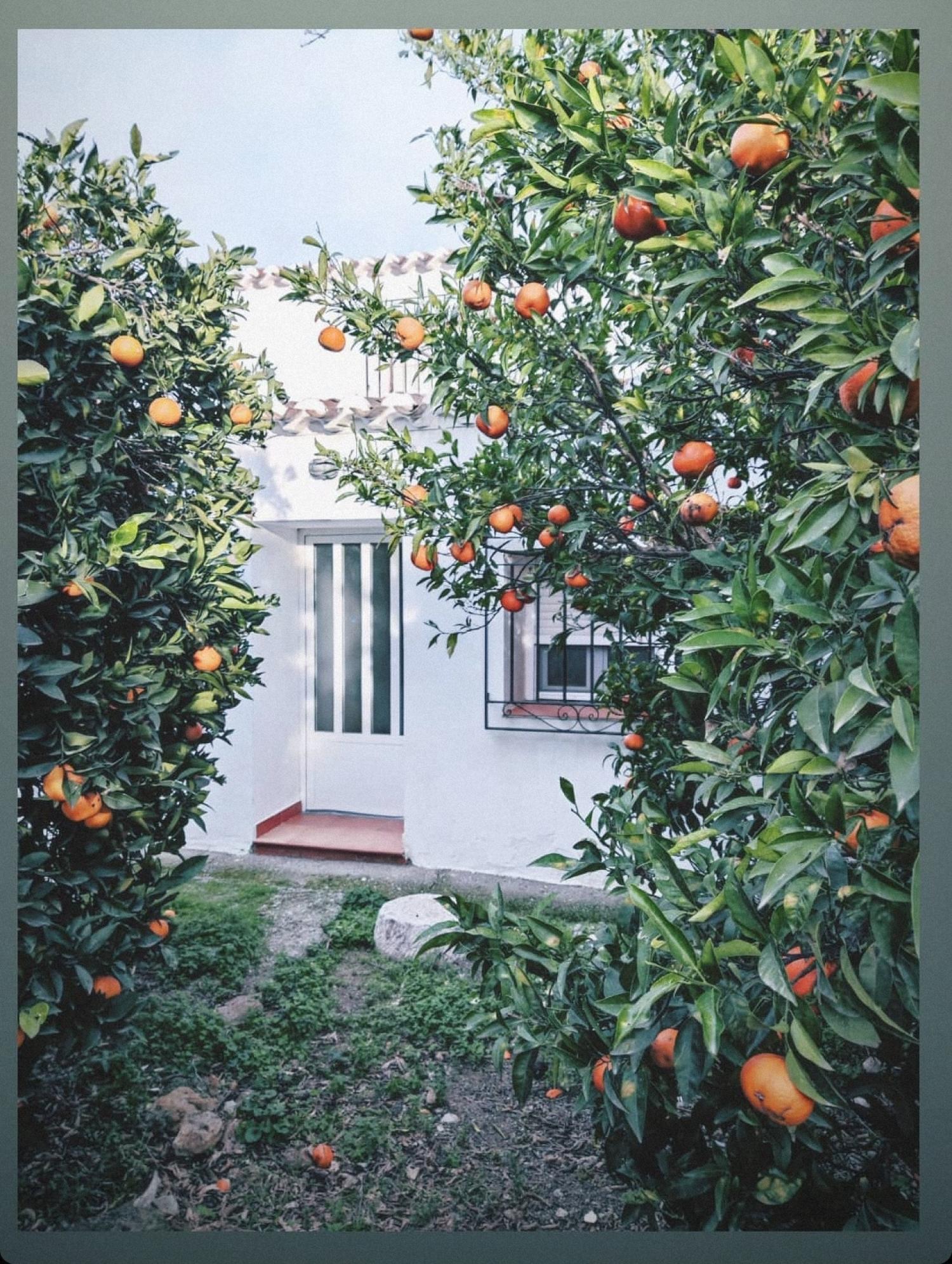 en venta finca rústica Lubrín Levante Almeriense 2