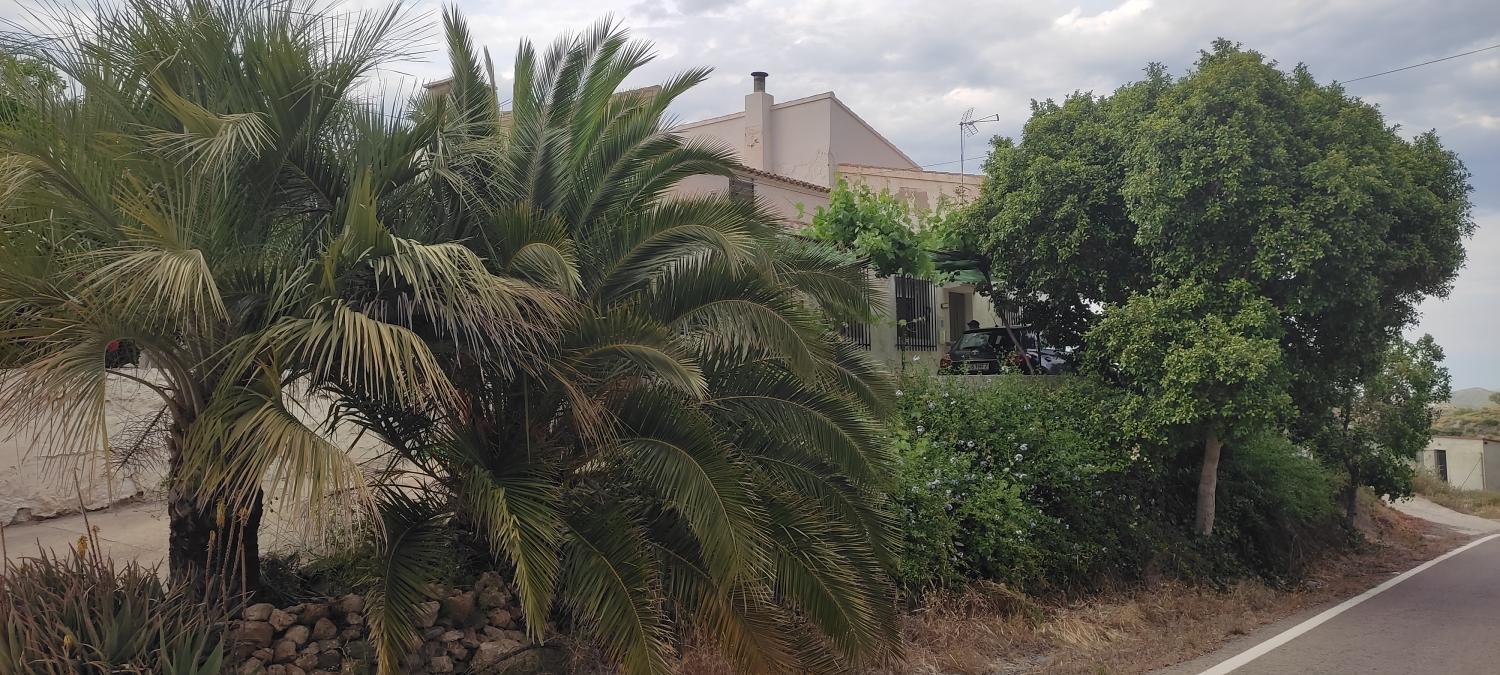  en venta finca rústica Lubrín Levante Almeriense 4