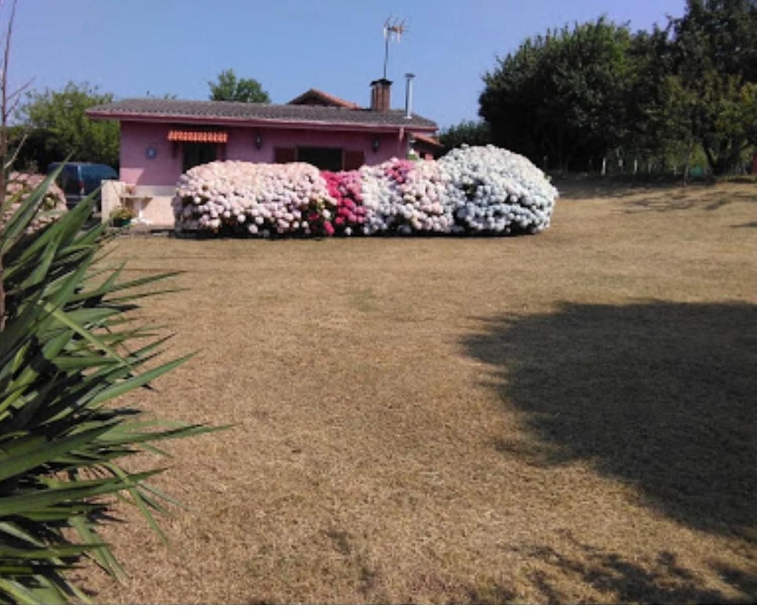  en venta finca rústica Arguero Gijón 9