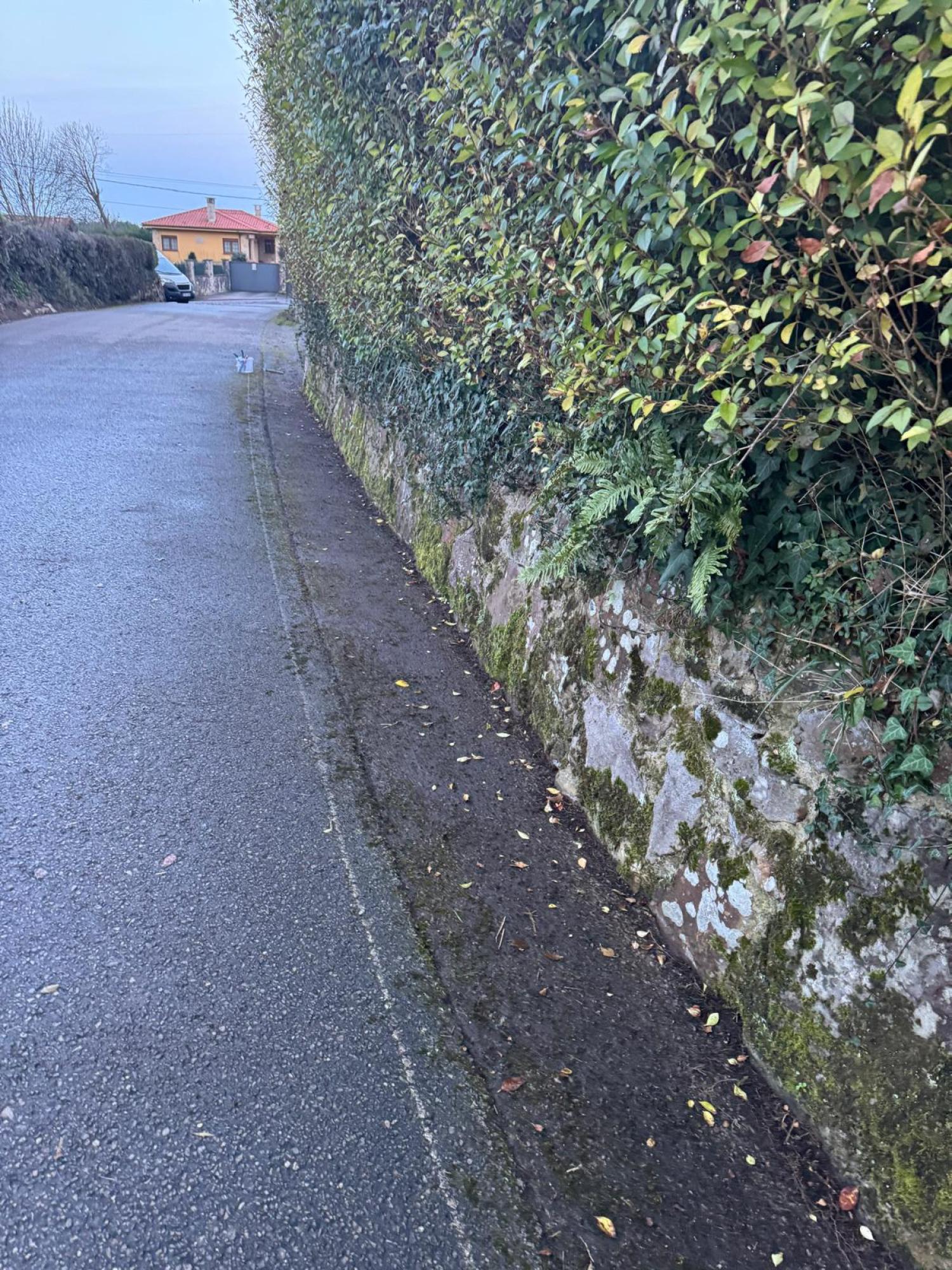  en venta finca rústica Arguero Gijón 12