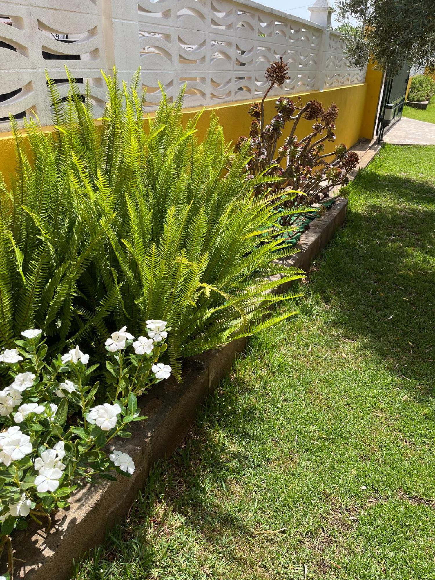  en venta chalet Grao Plana Alta 47
