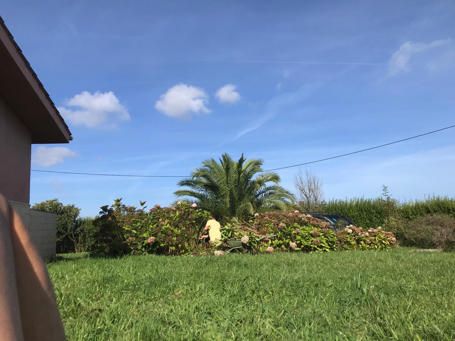  en venta finca rústica Arguero Gijón 16