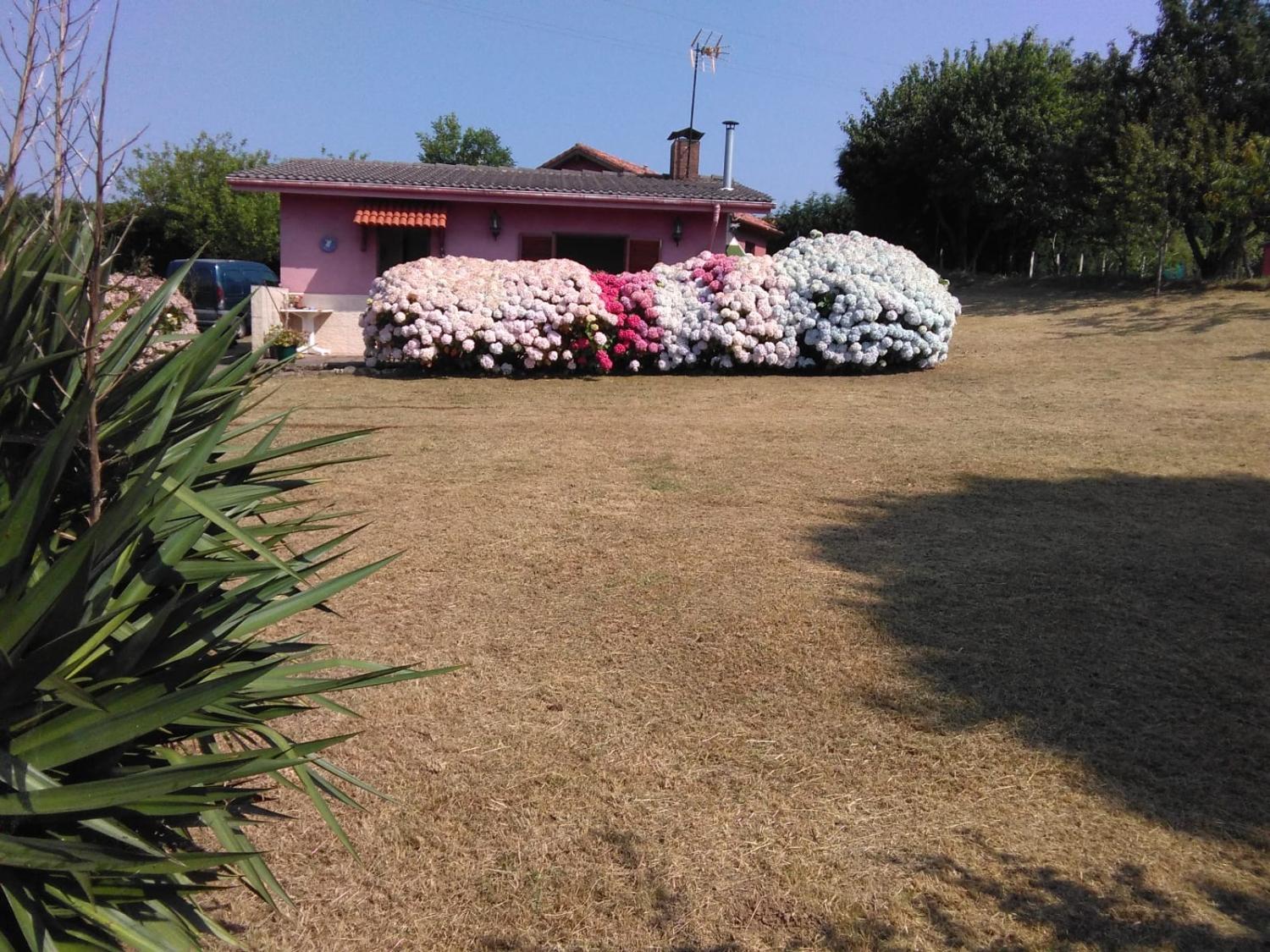  en venta finca rústica Arguero Gijón 5