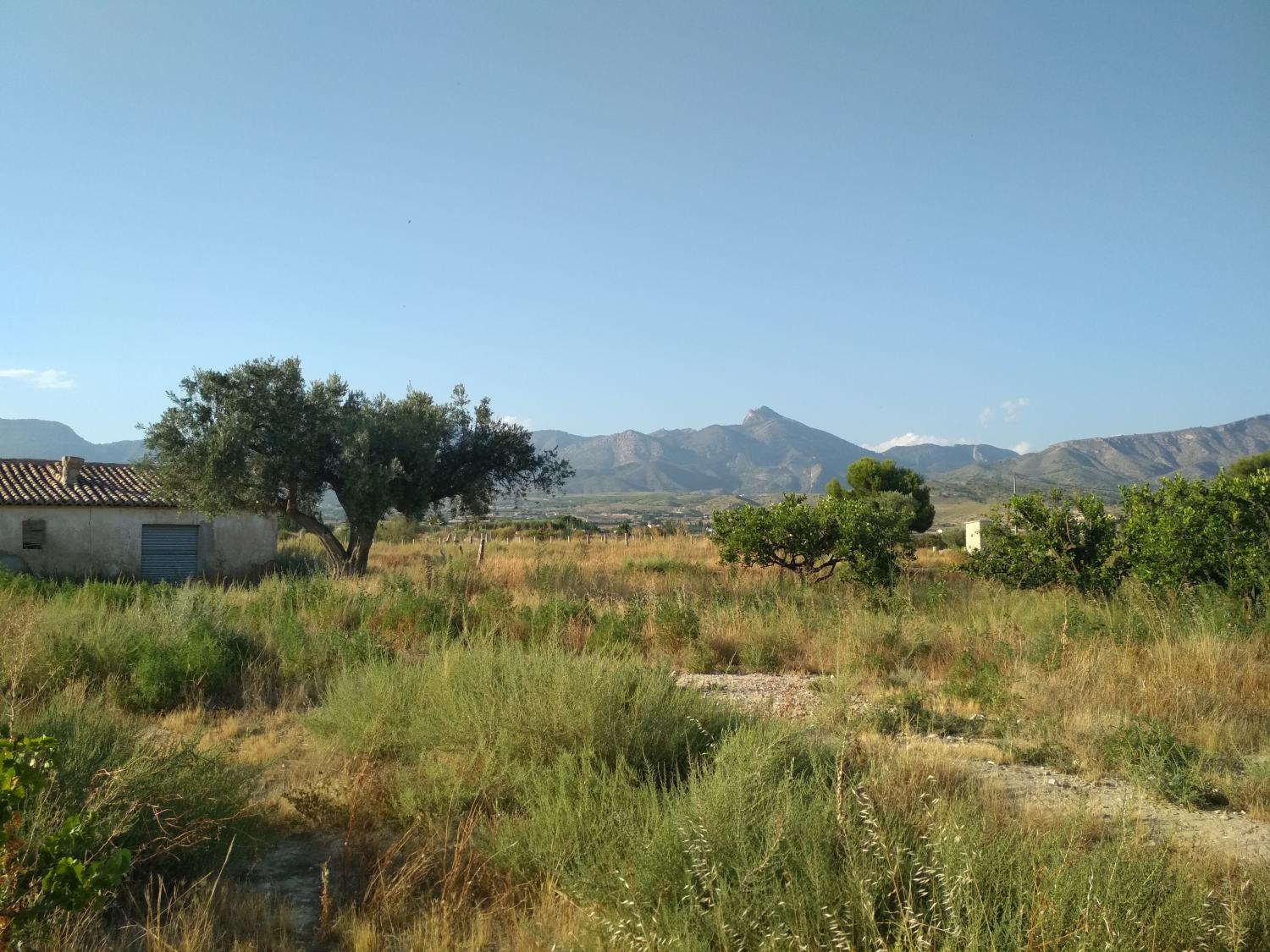  en venta terreno Agost Alacantí 12