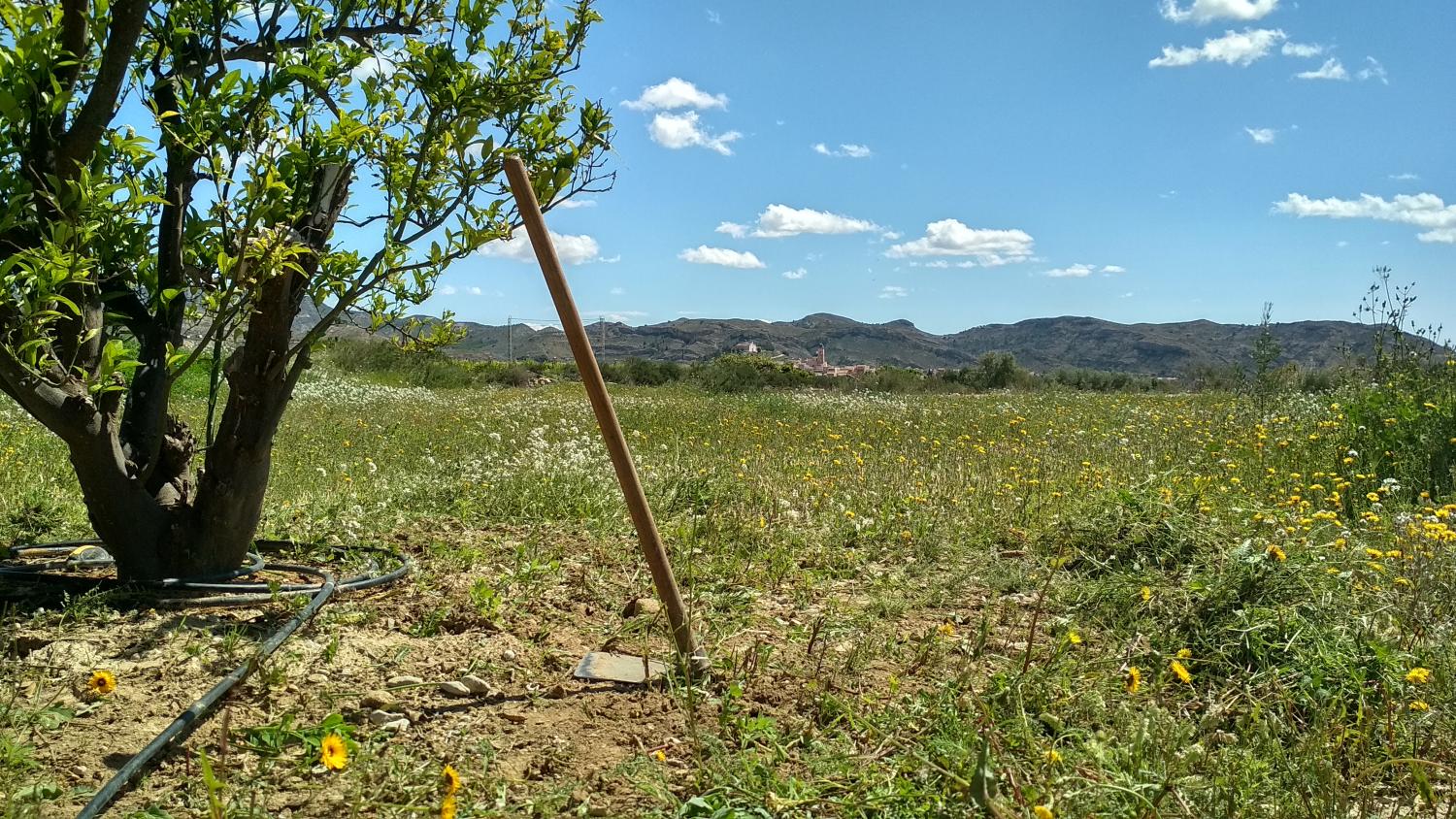  en venta terreno Agost Alacantí 2