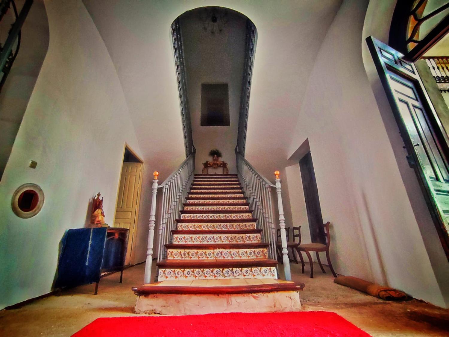  en venta finca rústica Córdoba Centro 14001 Córdoba 3