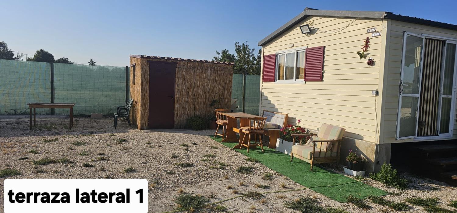  en venta finca rústica Perleta Baix Vinalopó 4