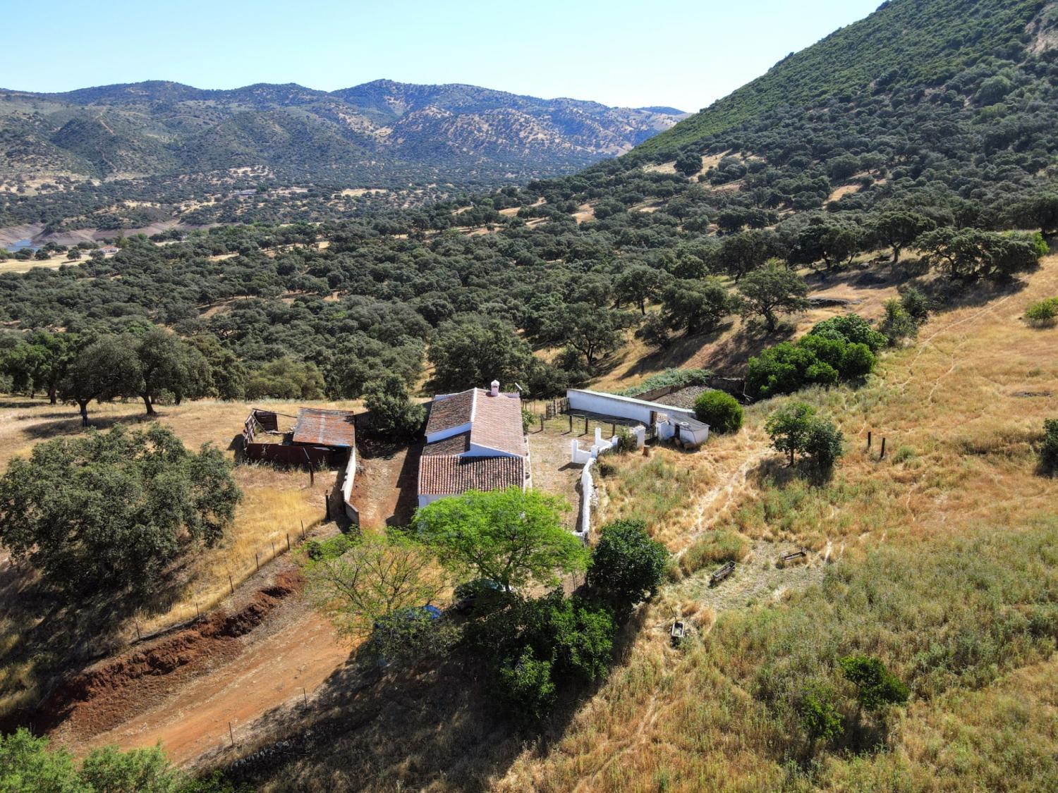 en venta finca rústica Cazalla De La Sierra Sierra Norte 3