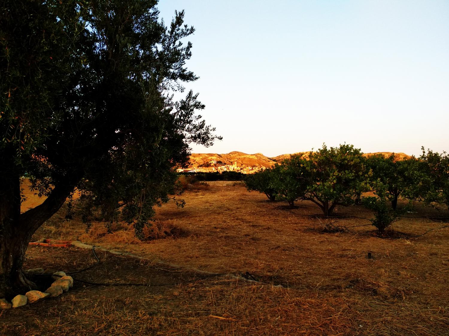  en venta terreno Agost Alacantí 11