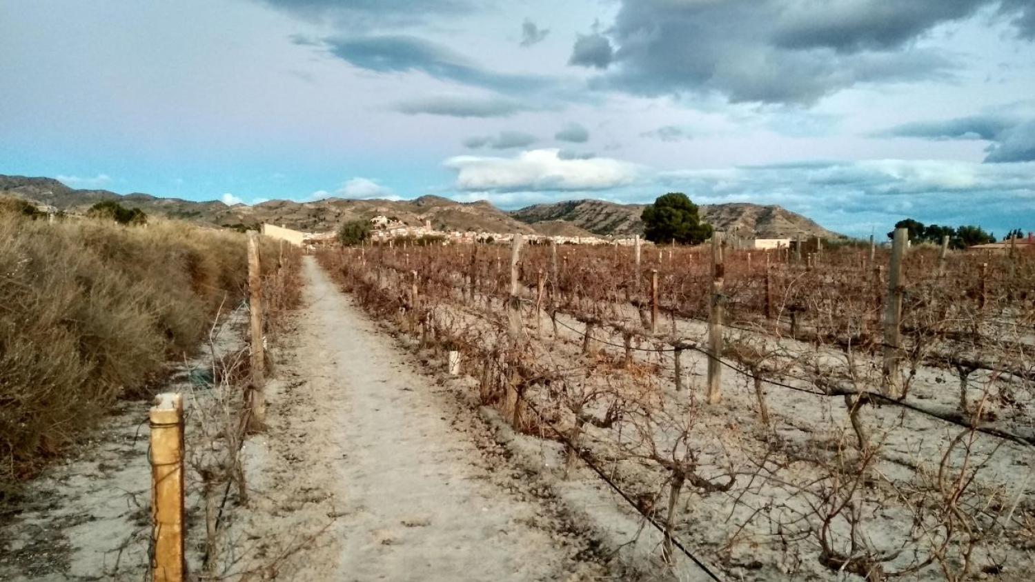  en venta terreno Agost Alacantí 15