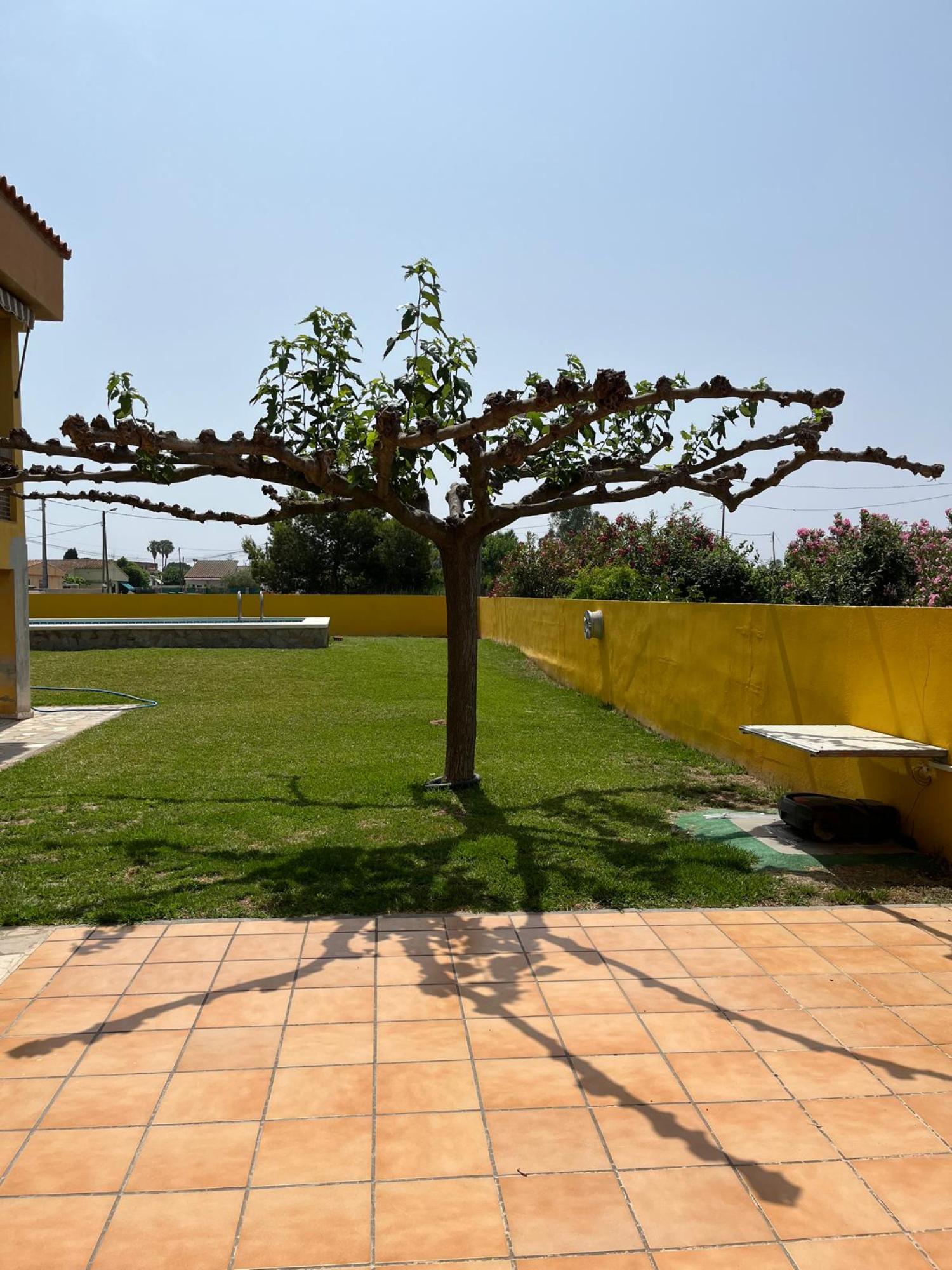  en venta chalet Grao Plana Alta 32