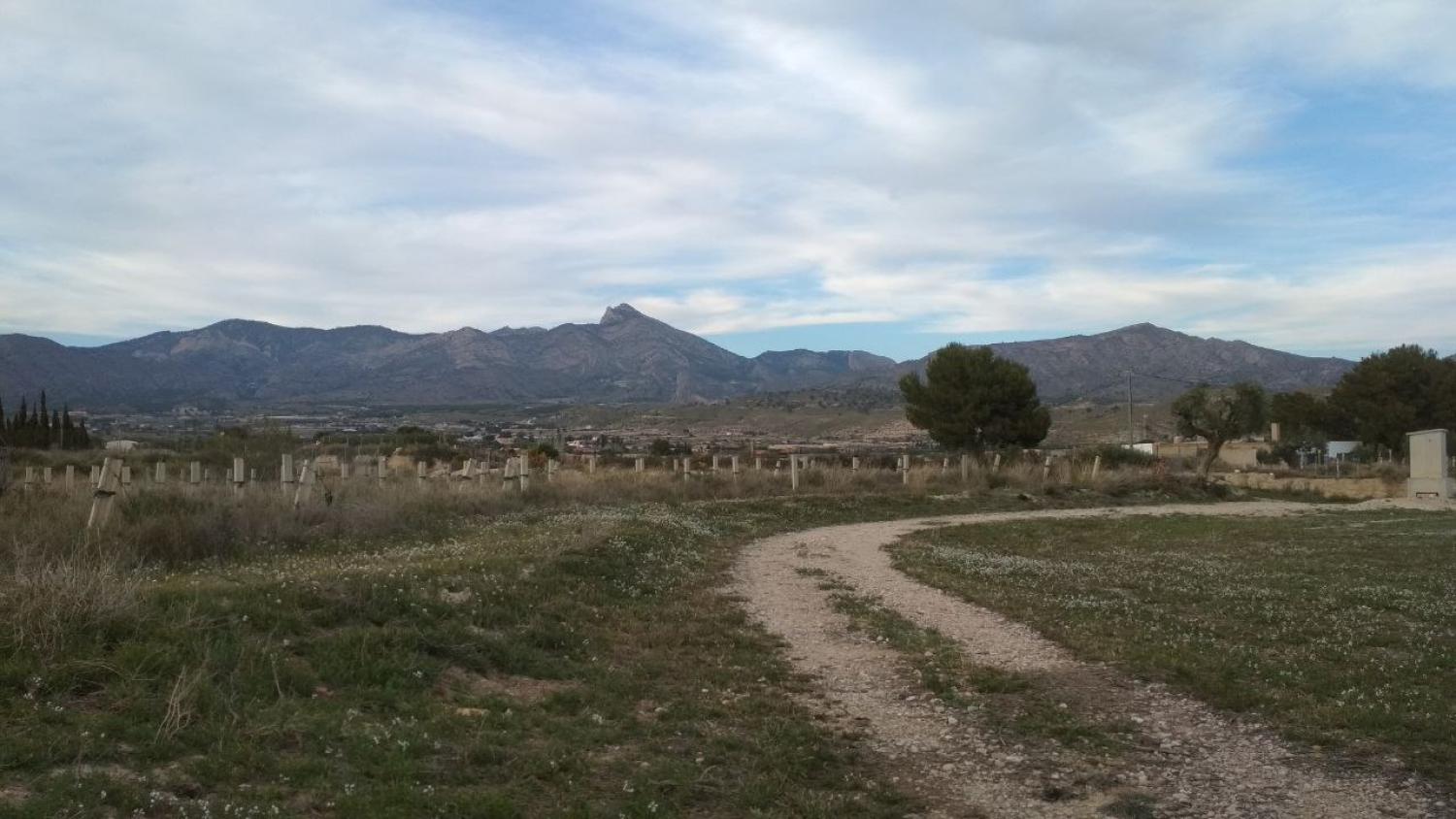  en venta terreno Agost Alacantí 16