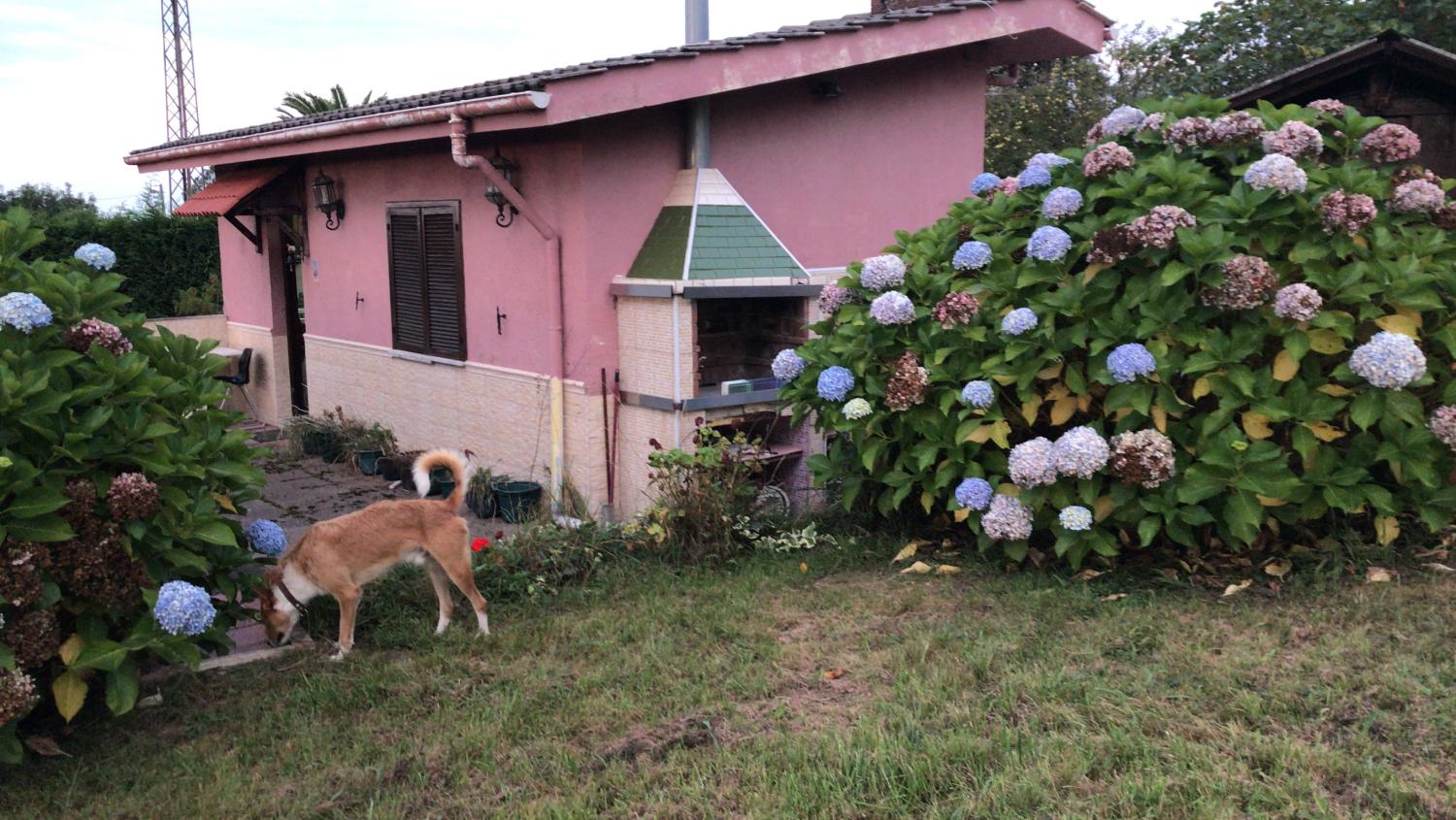  en venta finca rústica Arguero Gijón 15