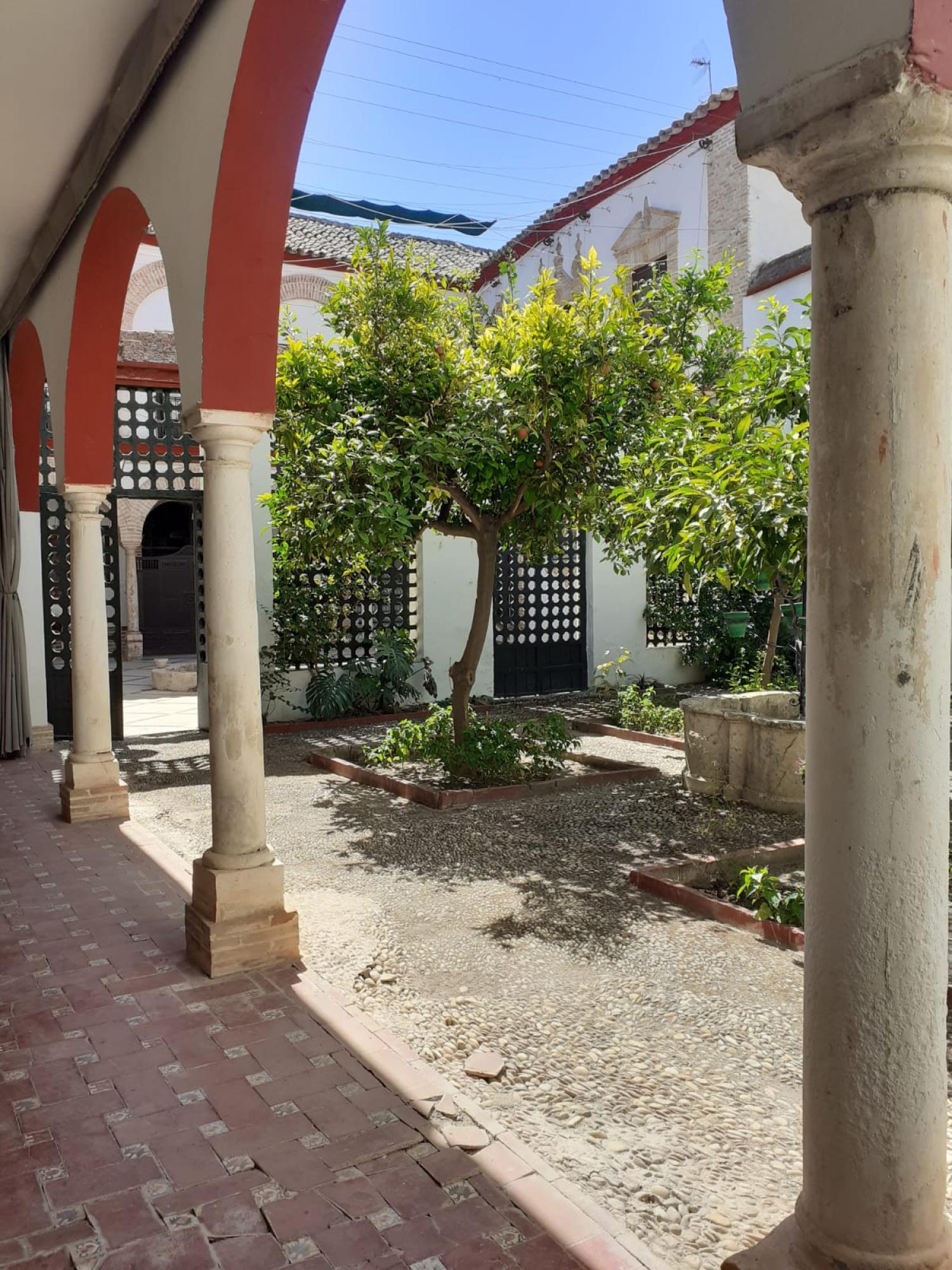  en venta mansion Écija Écija 17