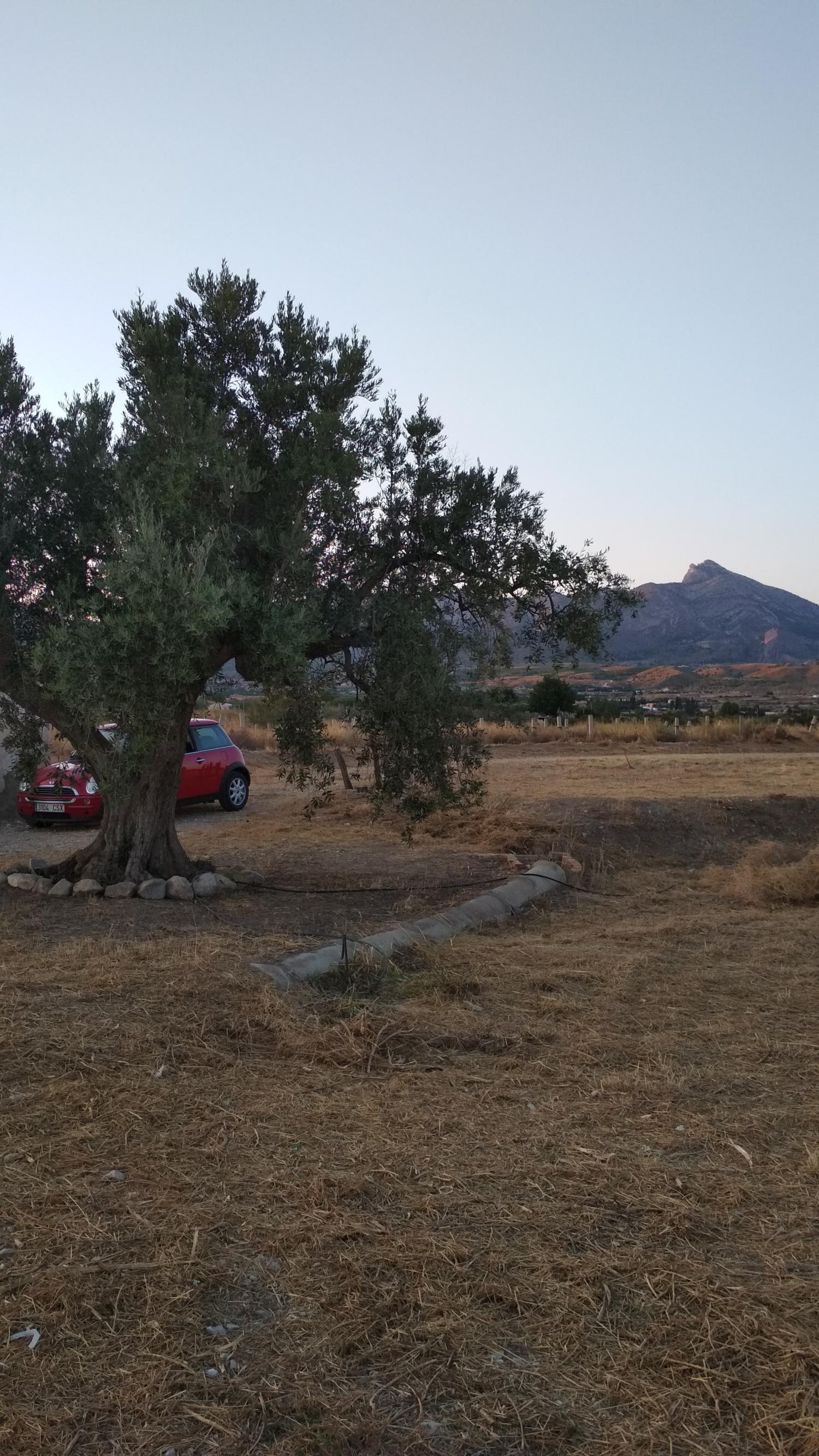  en venta terreno Agost Alacantí 13