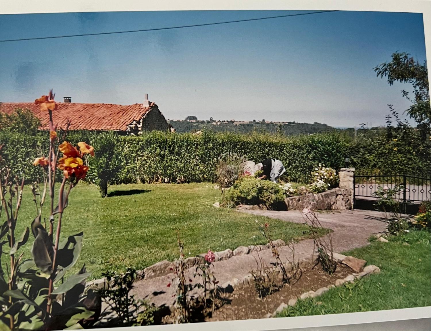  en venta finca rústica Arguero Gijón 6
