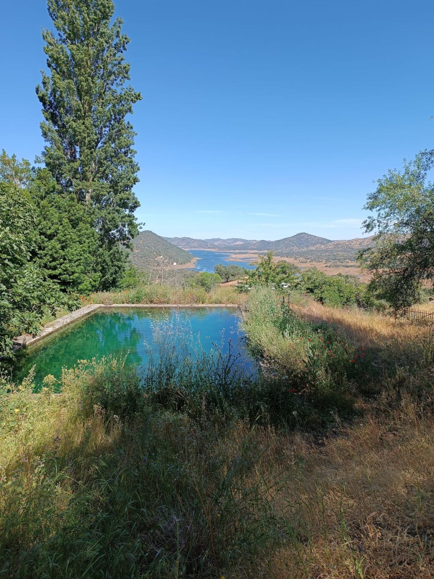  en venta finca rústica Cazalla De La Sierra Sierra Norte 2