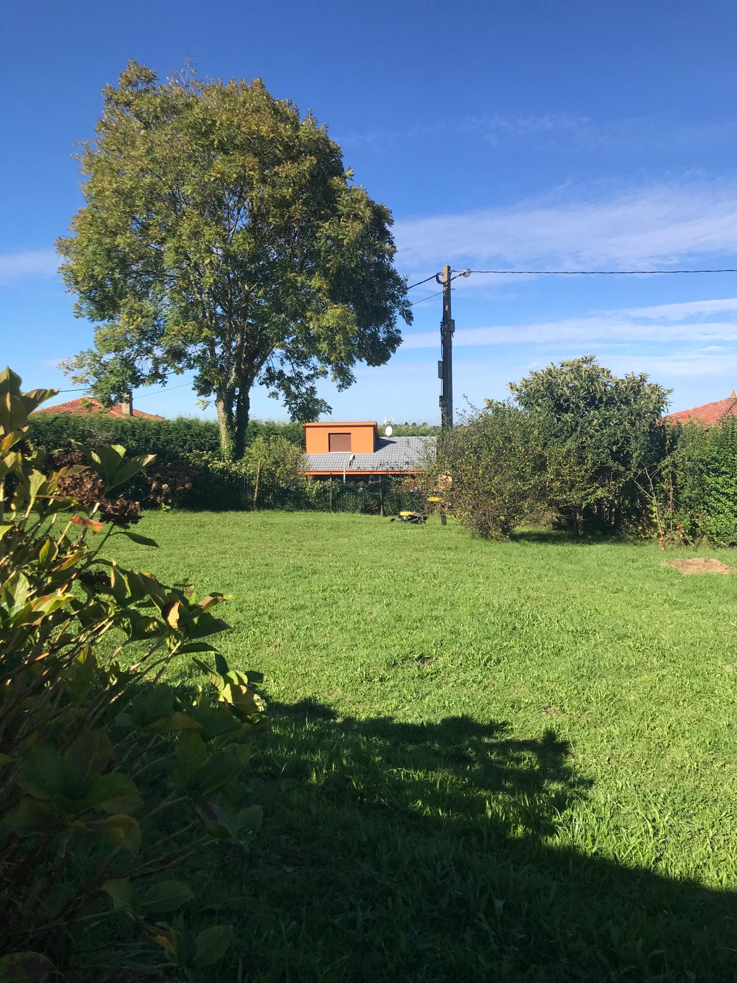 en venta finca rústica Arguero Gijón 17