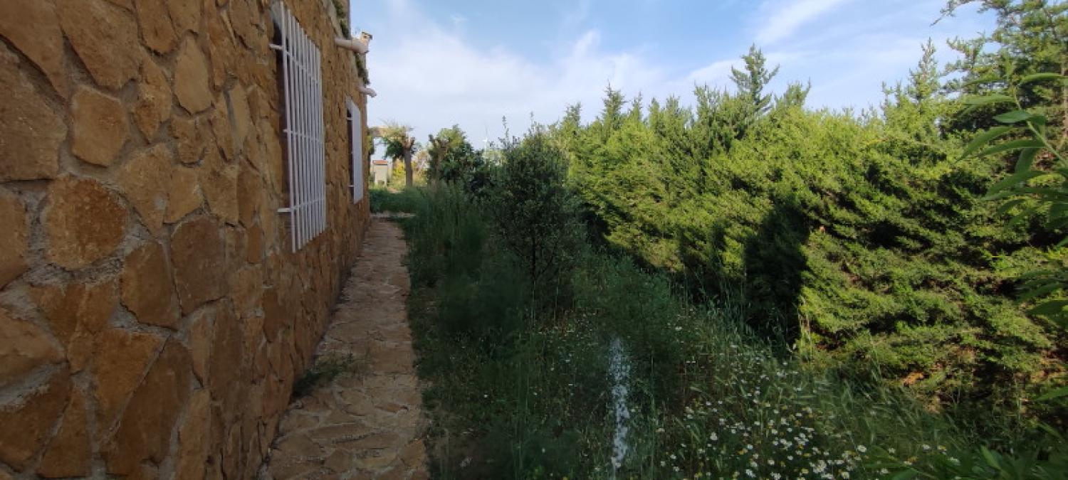  en venta casa La Higuera Monte Ibérico Almansa 25