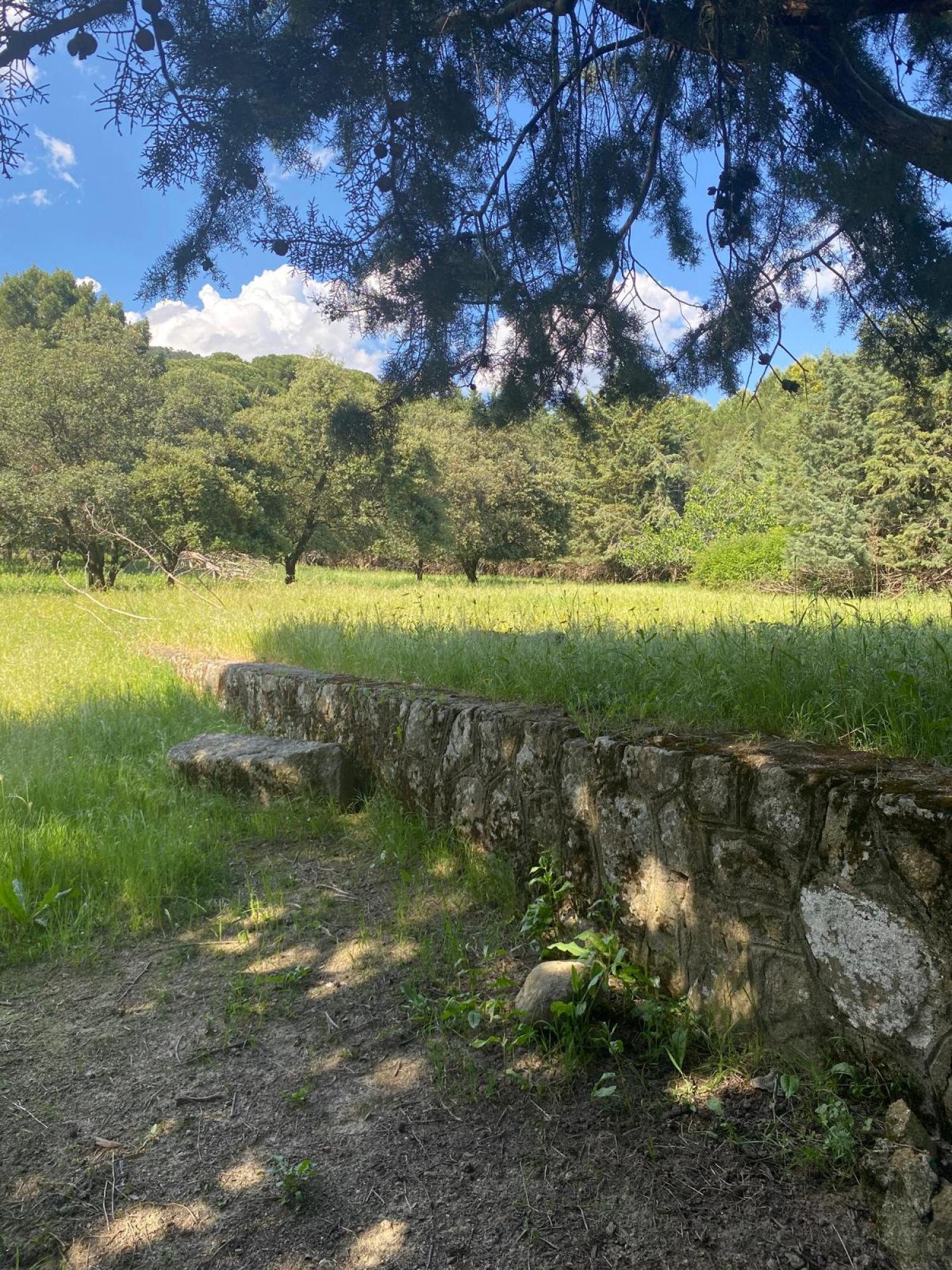  en venta terreno Sotillo De La Adrada Valle Del Tiétar 3