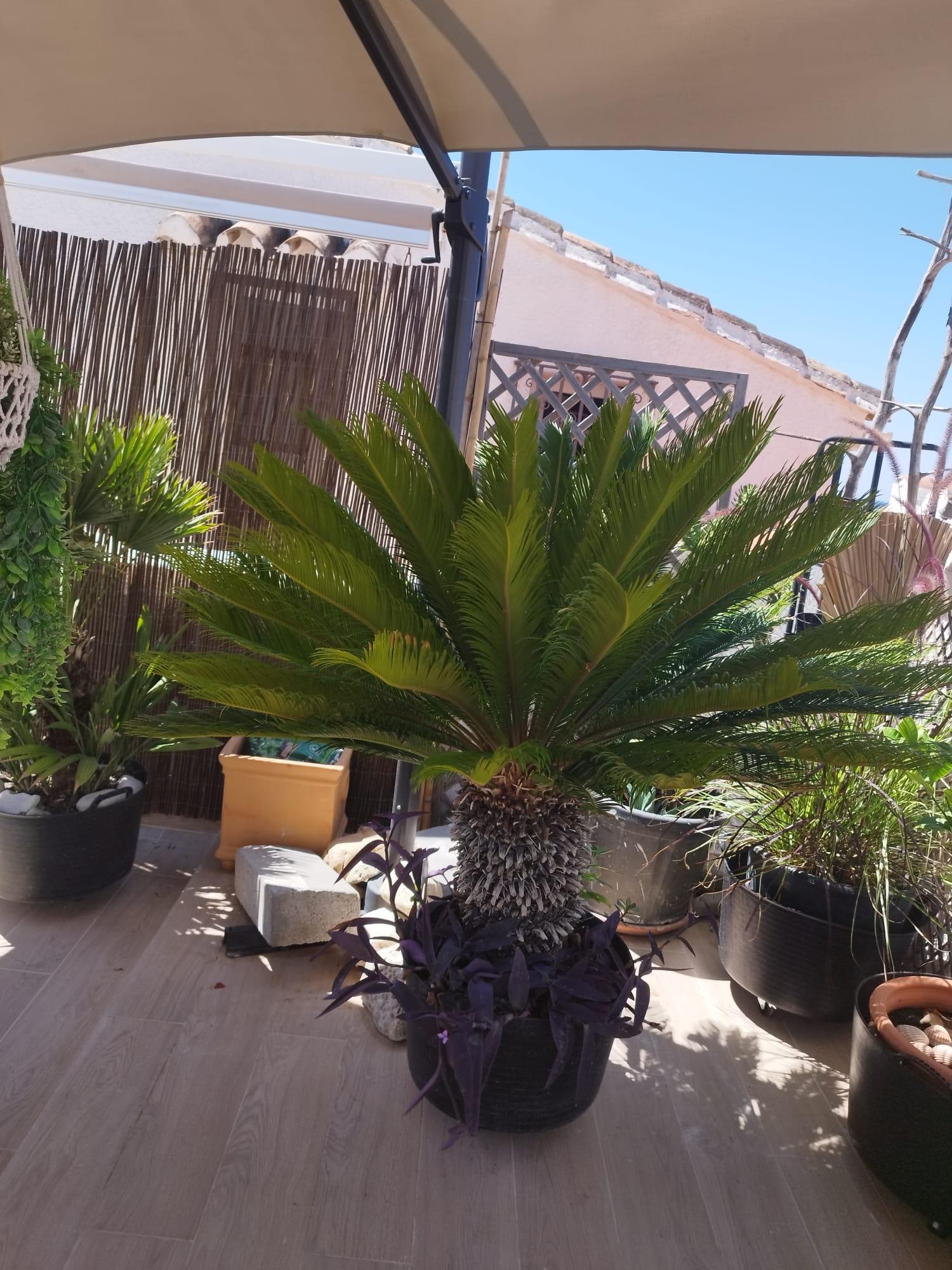  en venta casa Estepona Costa Del Sol Occidental 10