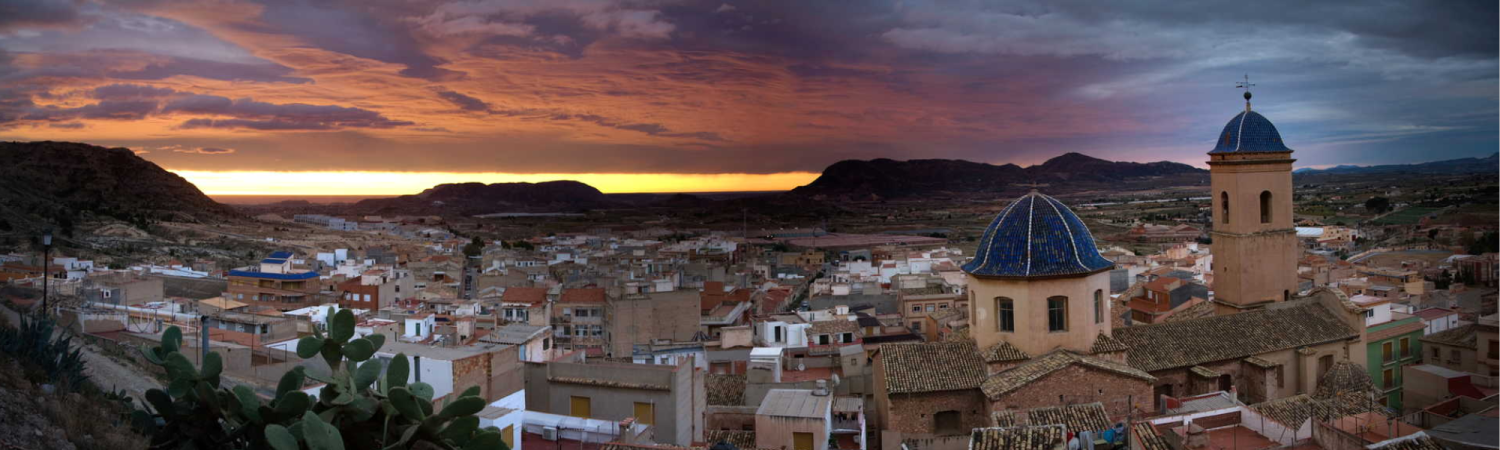  en venta terreno Agost Alacantí 17
