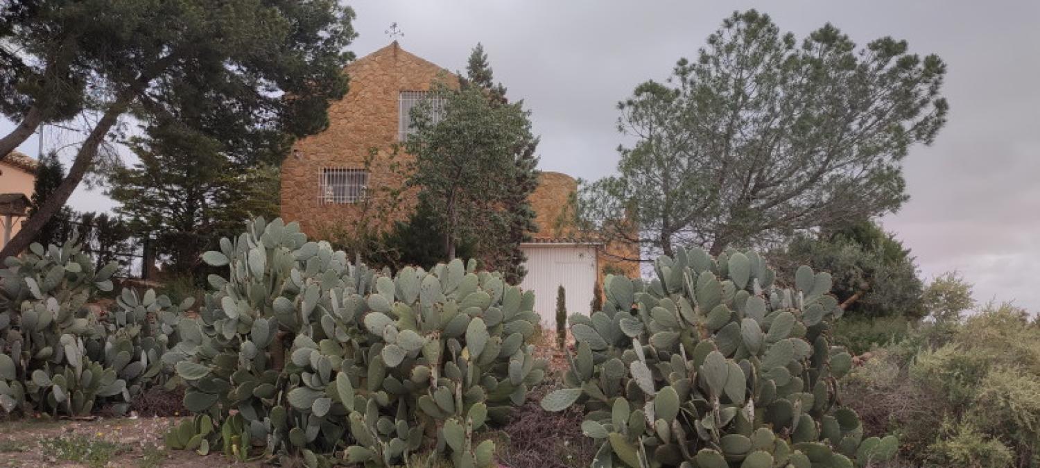  en venta casa La Higuera Monte Ibérico Almansa 5