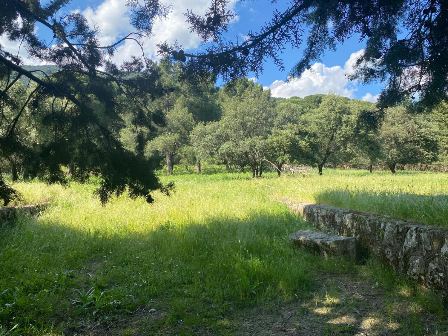 en venta terreno Sotillo De La Adrada Valle Del Tiétar 1